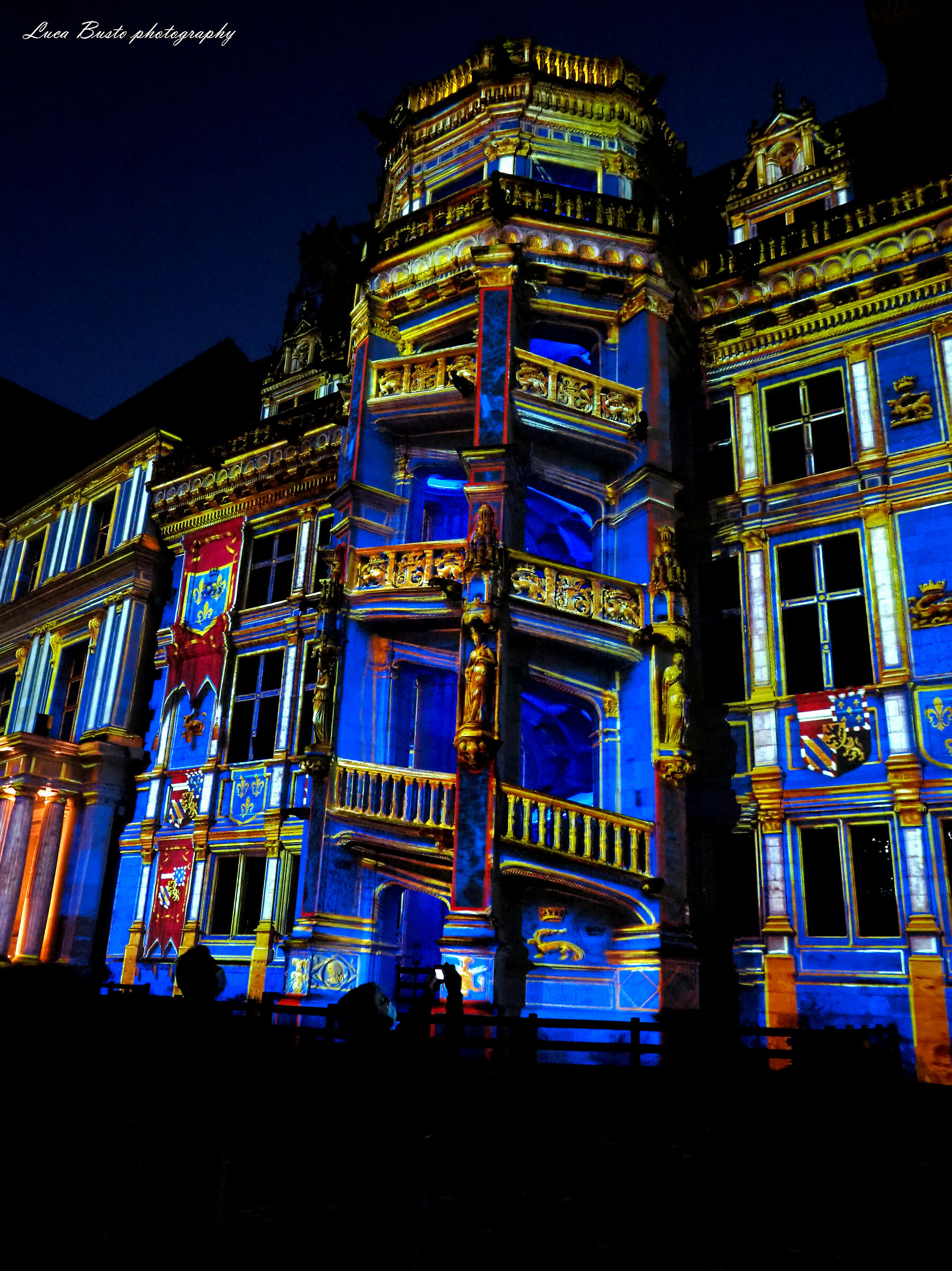 Son e Lumiere castello di Blois