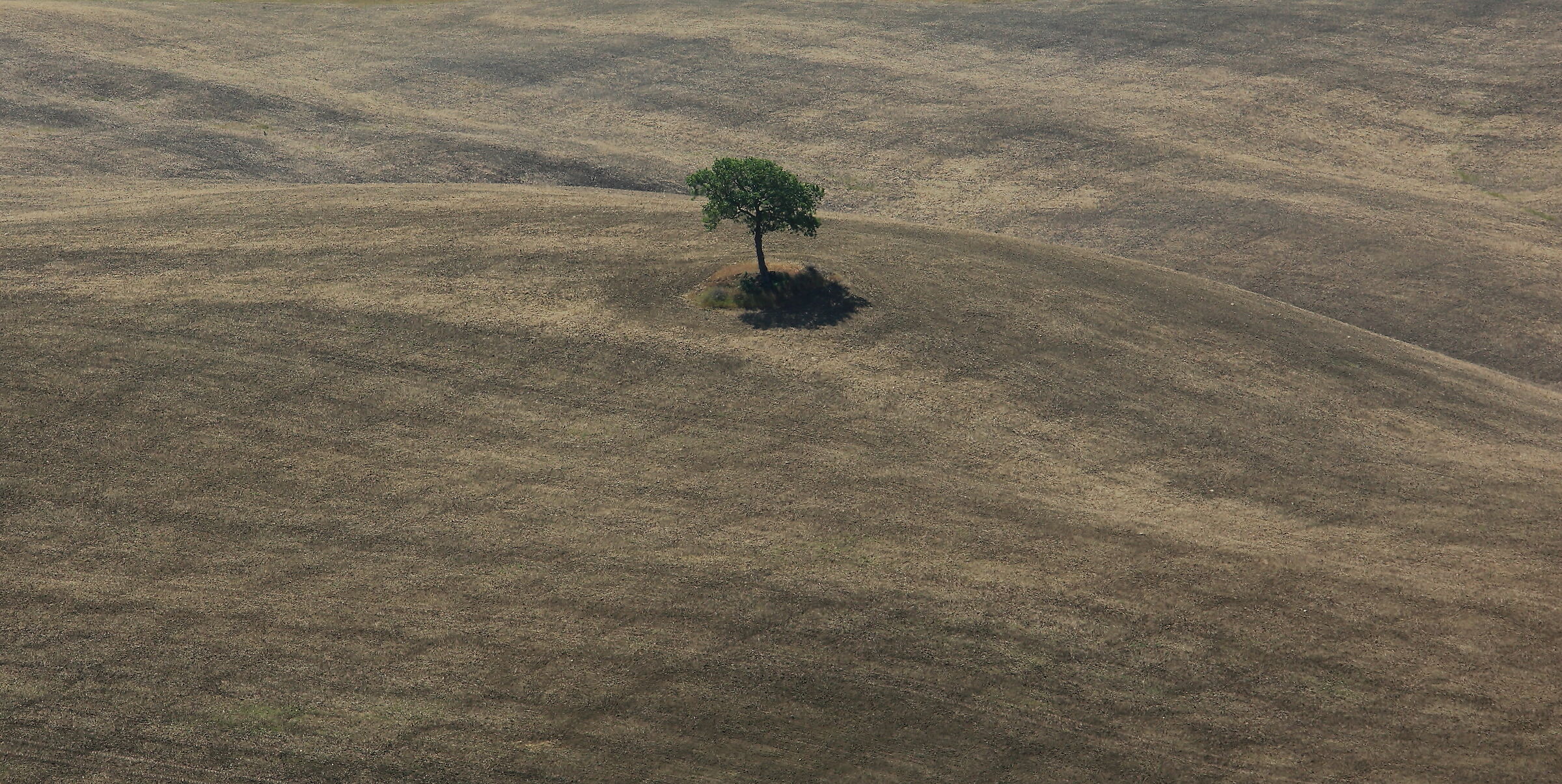 L'ombelico del mondo