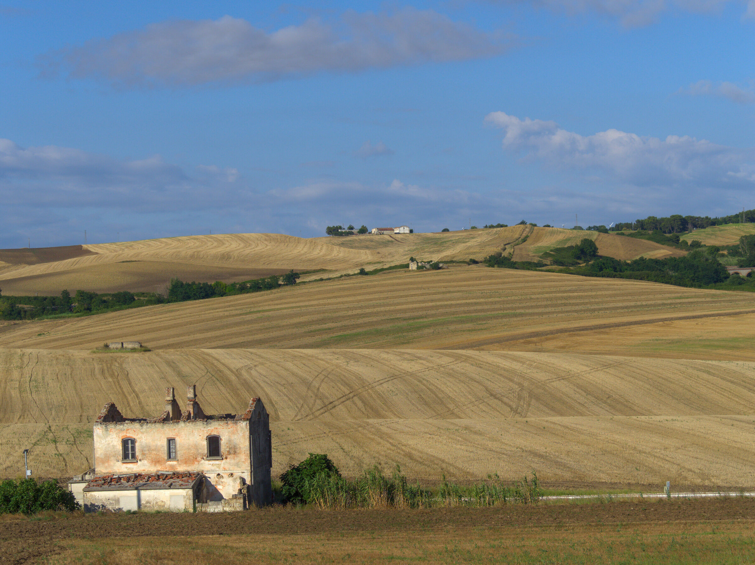 In the Park of Upper Murgia