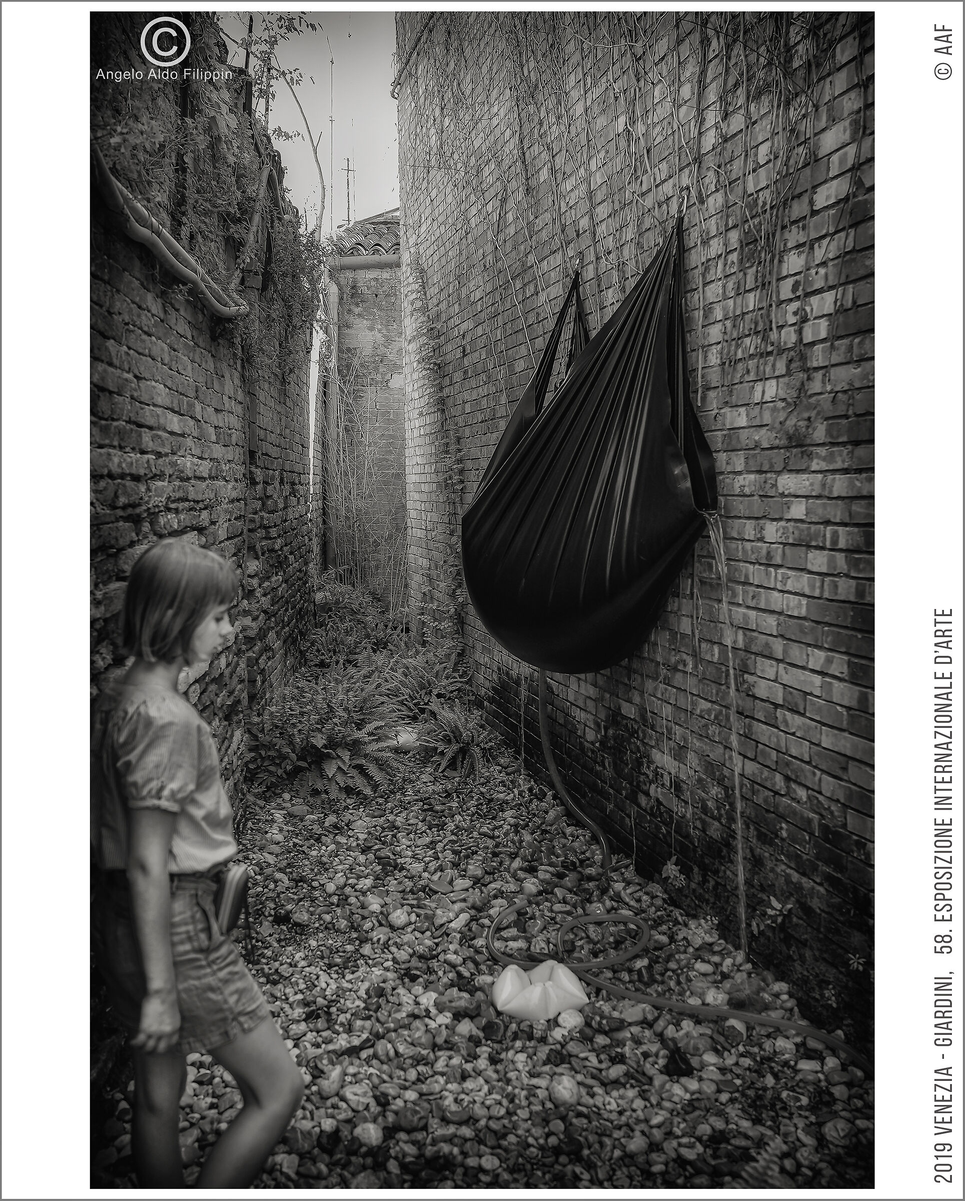 2019 Venezia, Giardini-58. Esposizione Intern. d'Arte