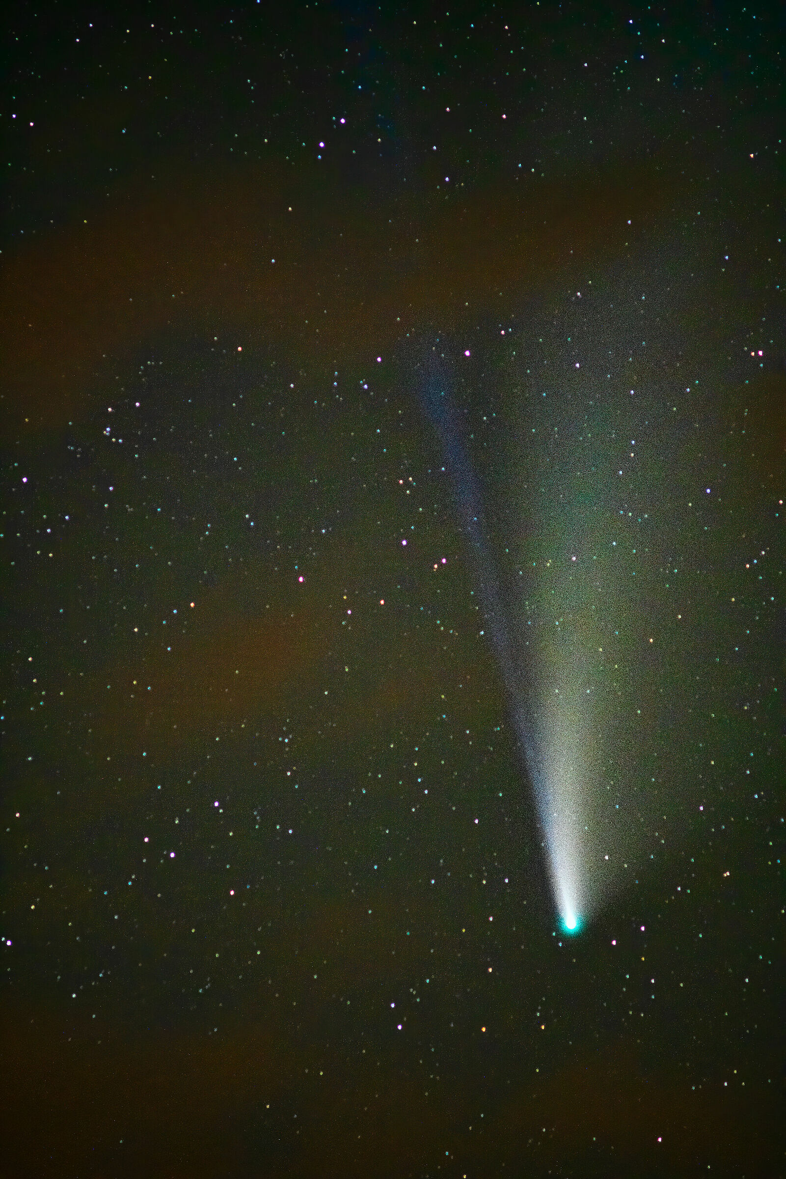 Cometa neowise