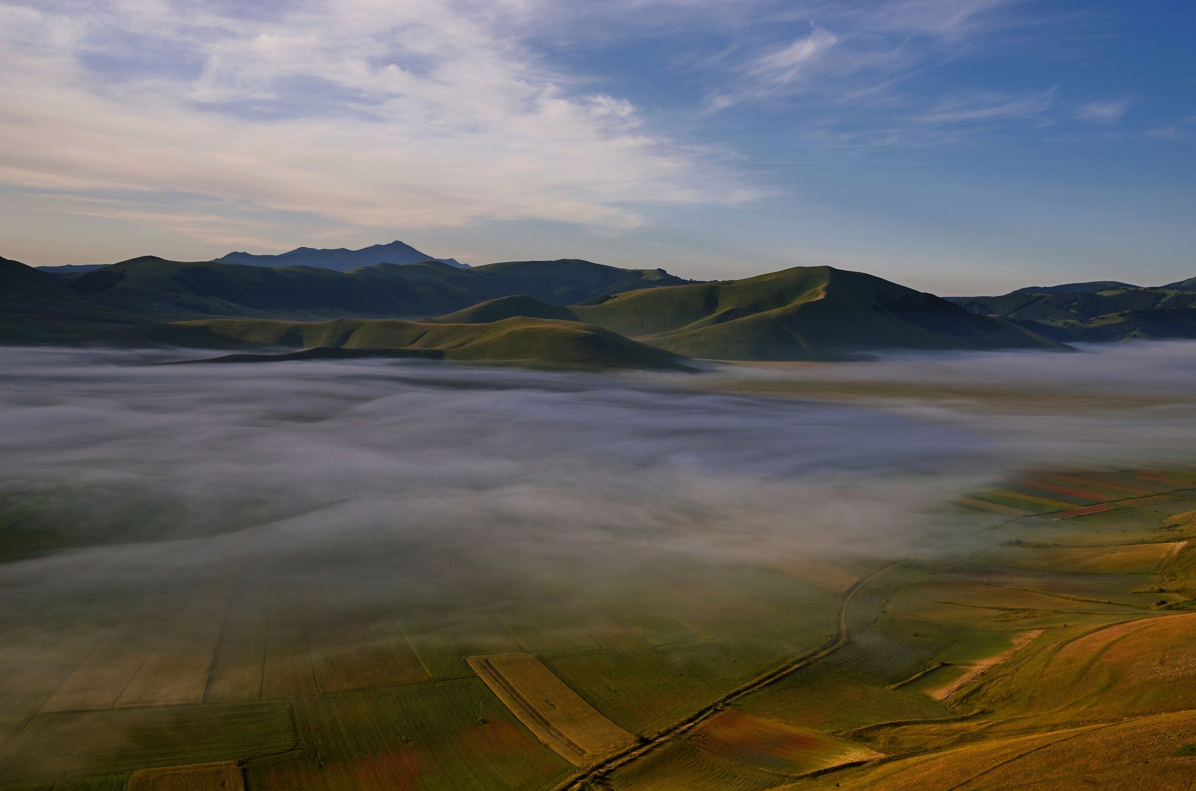 Soft Fog, New1000