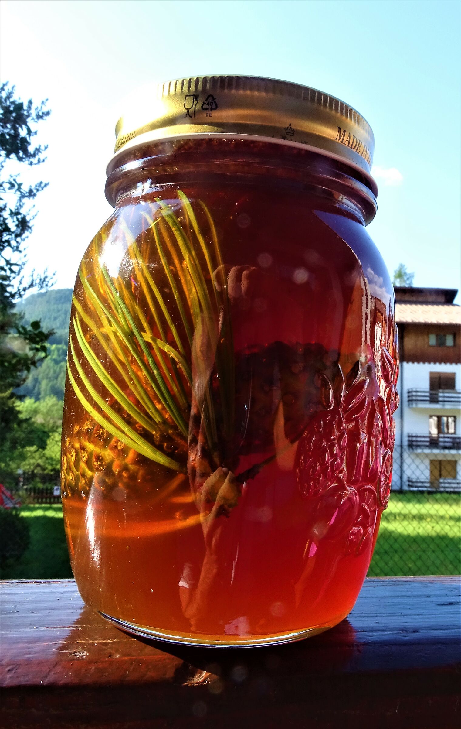 miele con pino mugo..