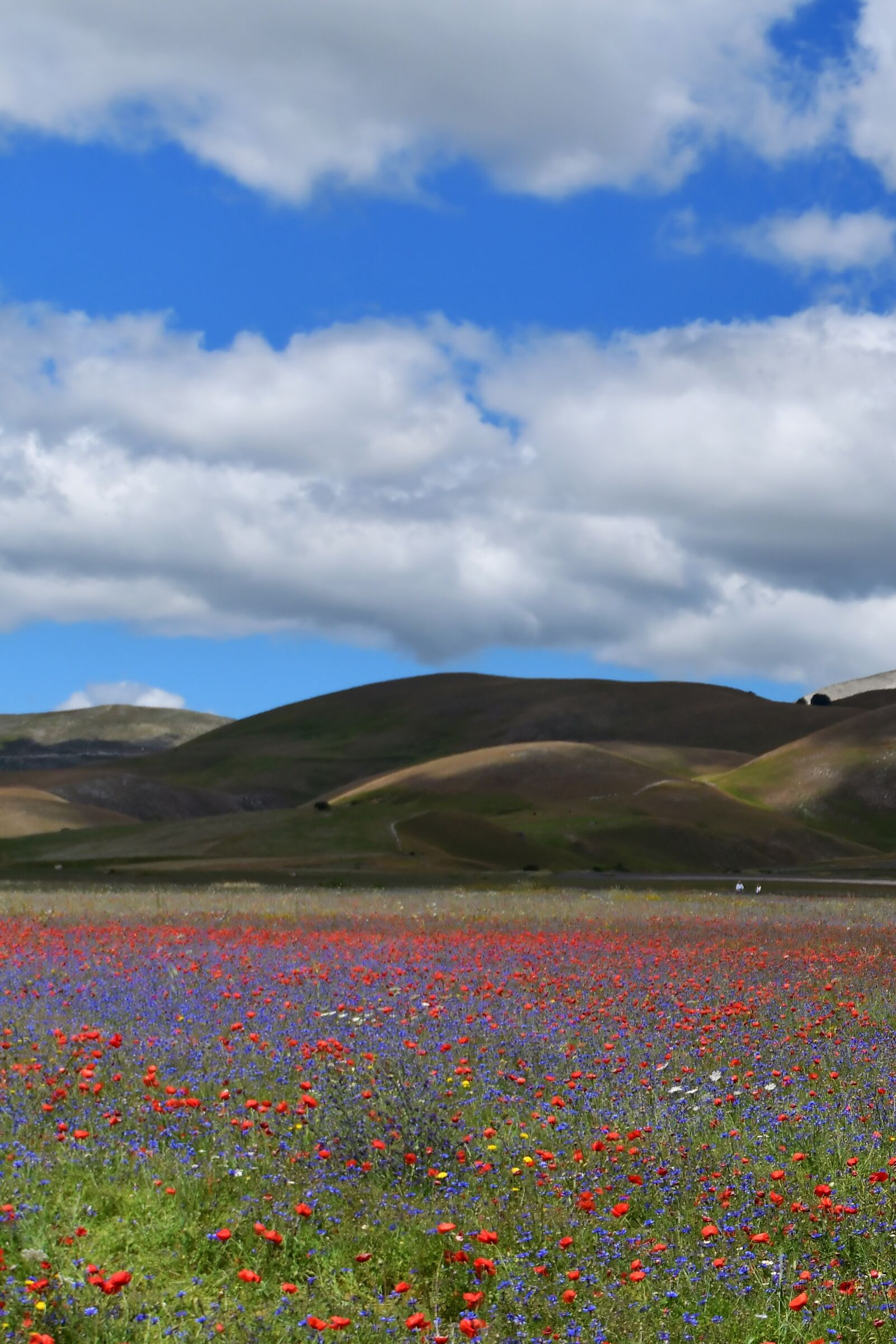 Castelluccio di Norcia