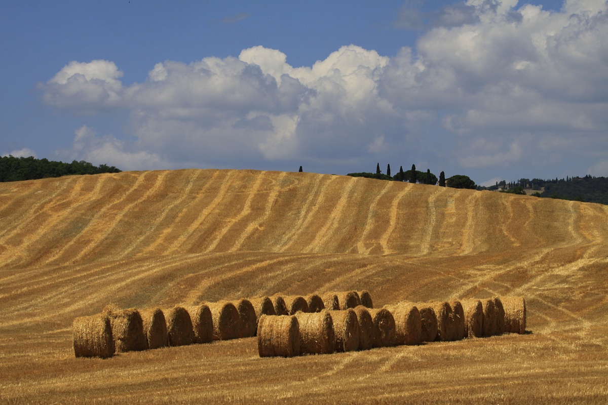 Val d'Orcia
