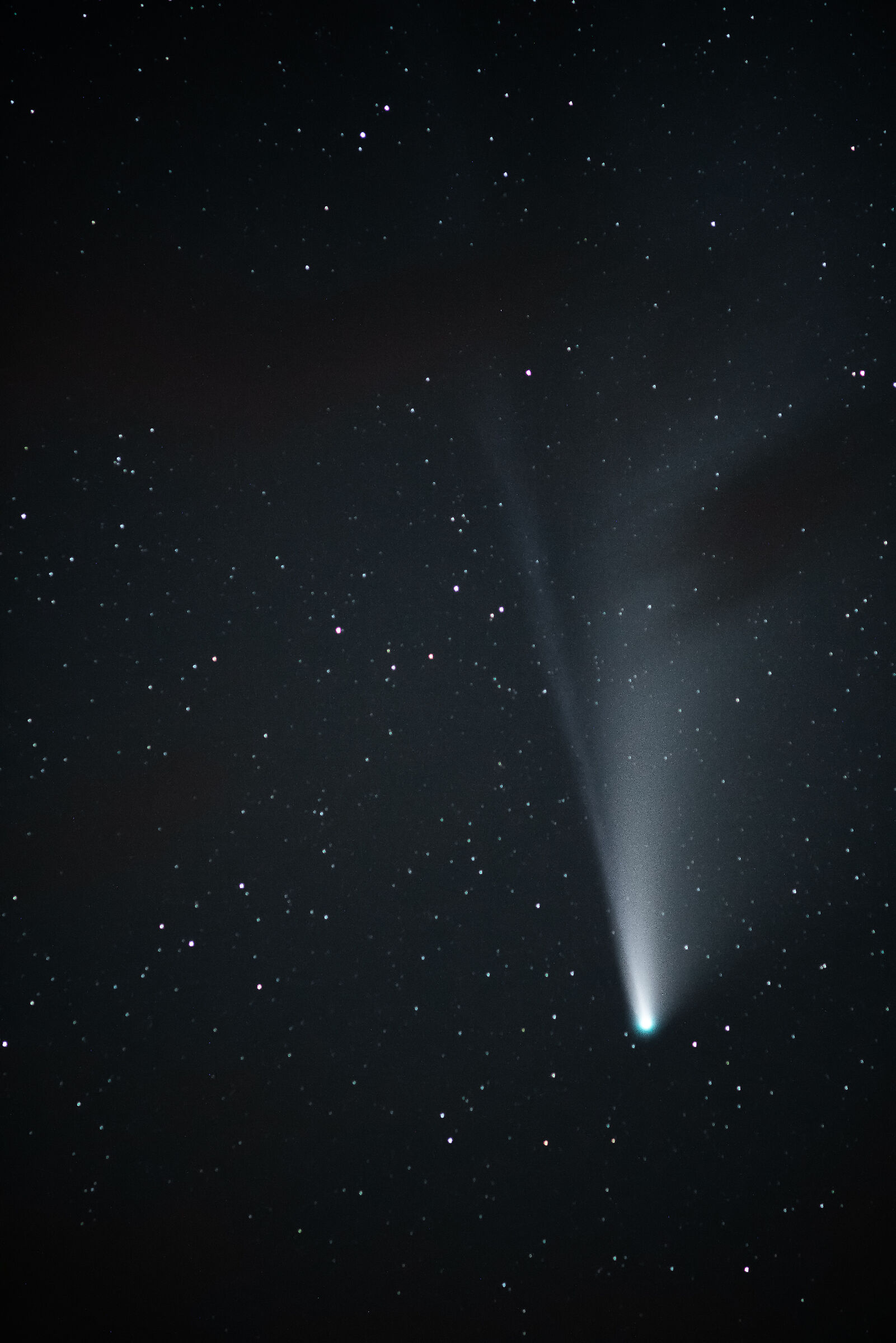 Cometa neowise