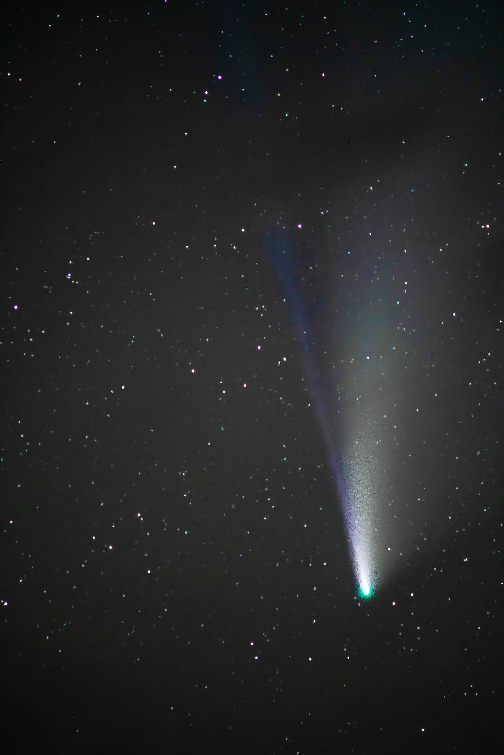 Neowise Comet