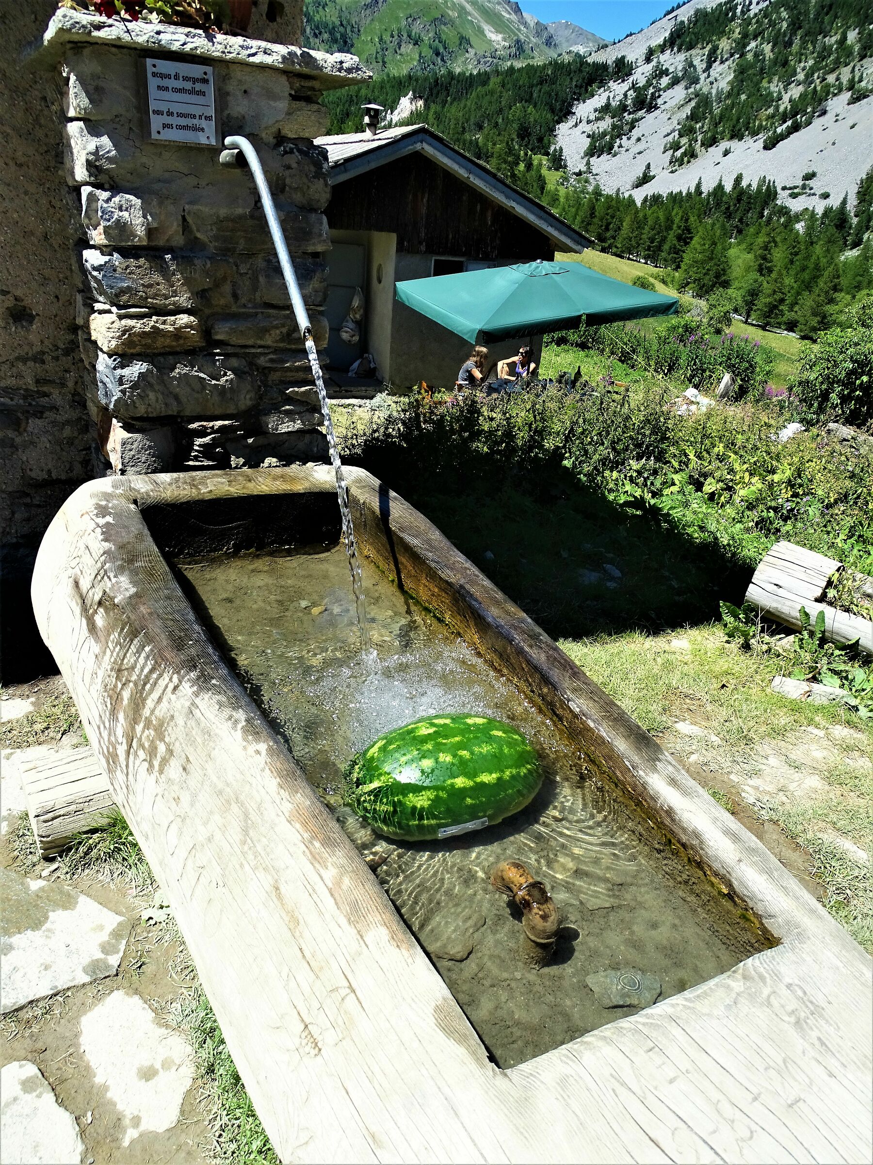 watermelon al fresco.