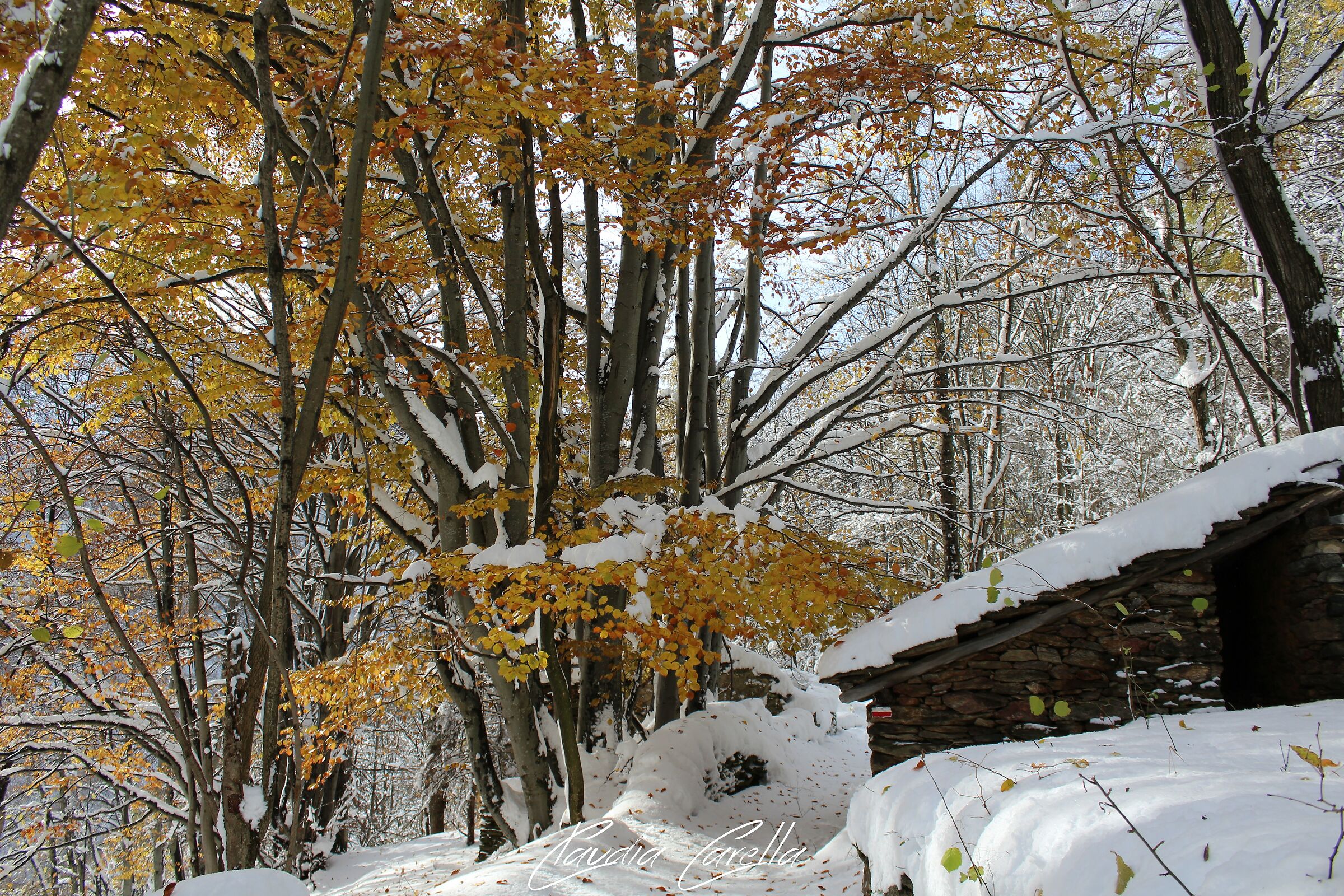 Paesaggio innevato. Strada verso il Geat (Val di Susa)