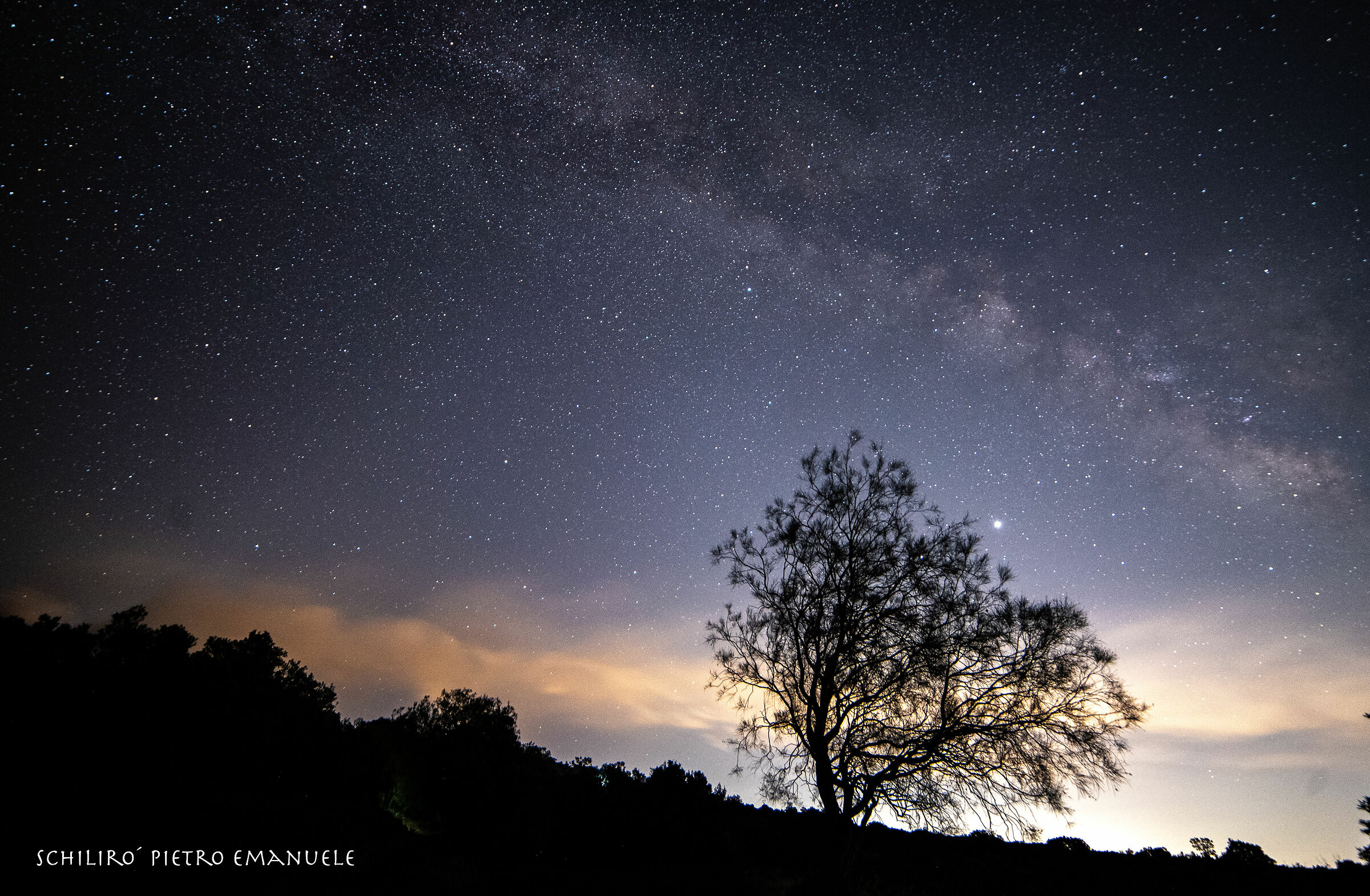 The Tree and its Way....