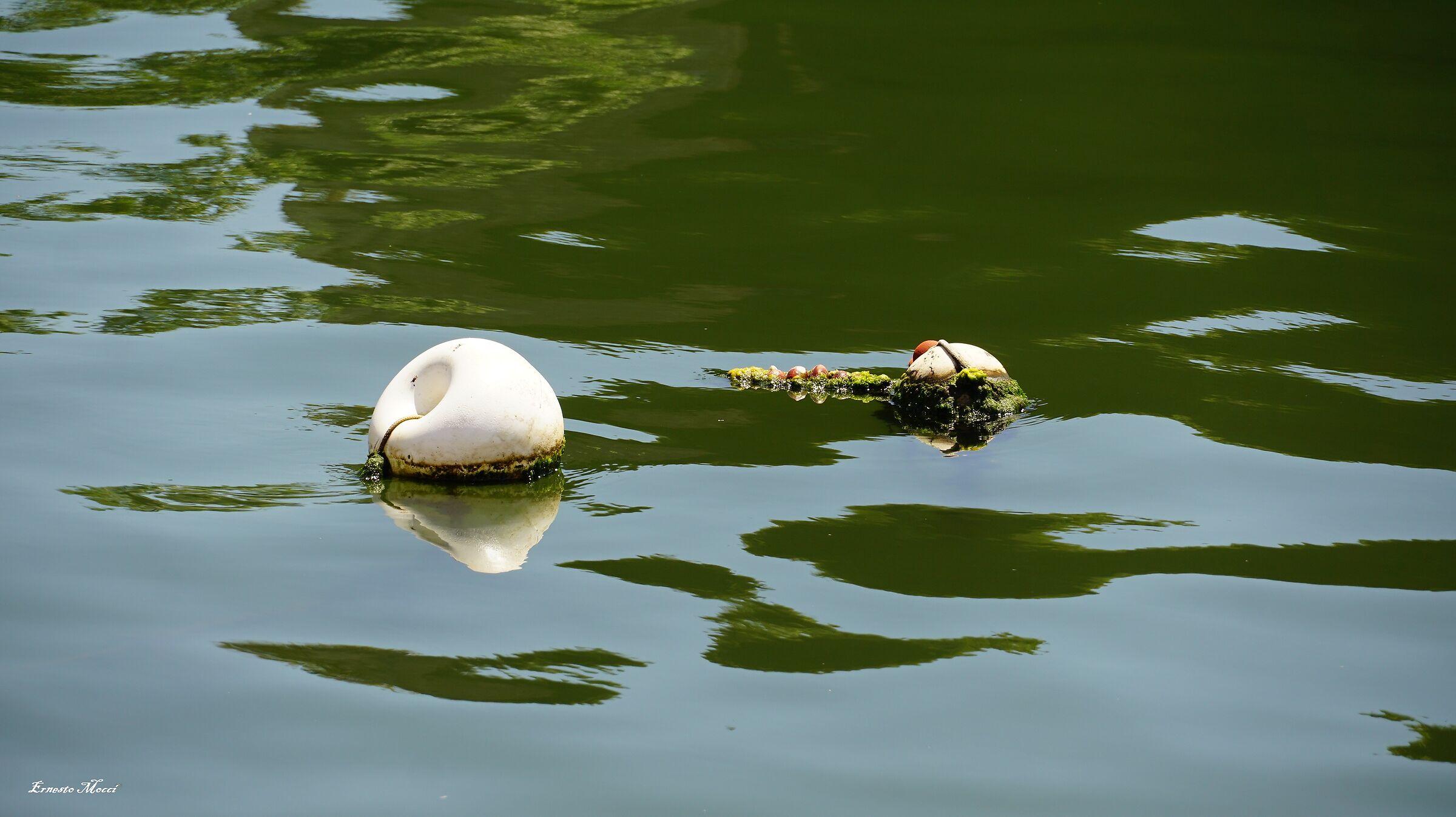 Floating Things, on the River