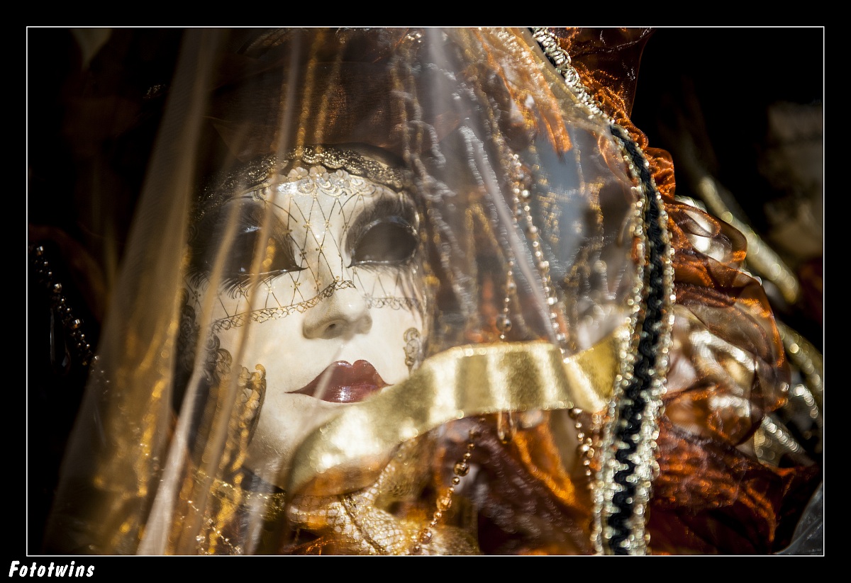 Carnival of Venice 2013