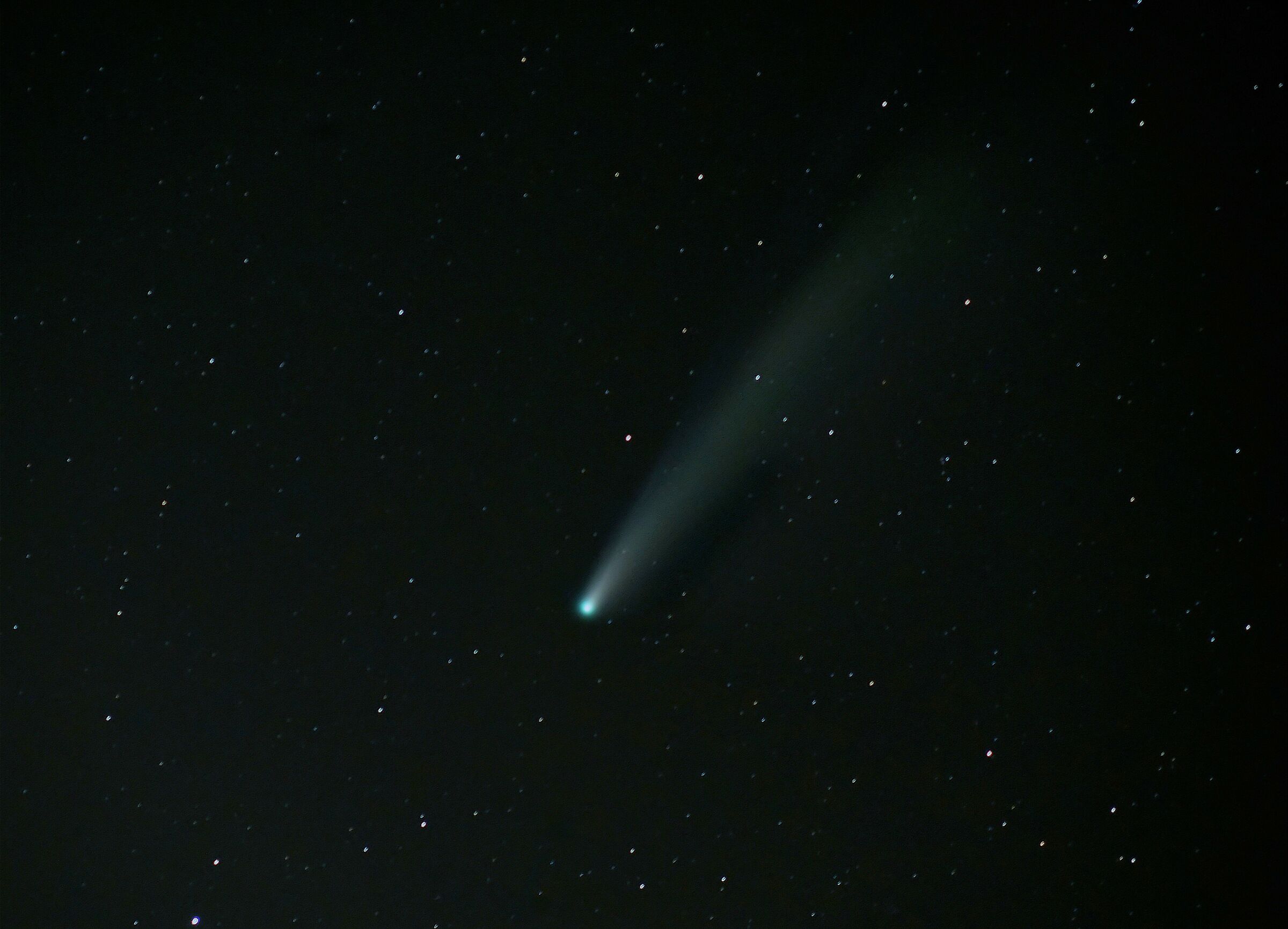 the neowise comet
