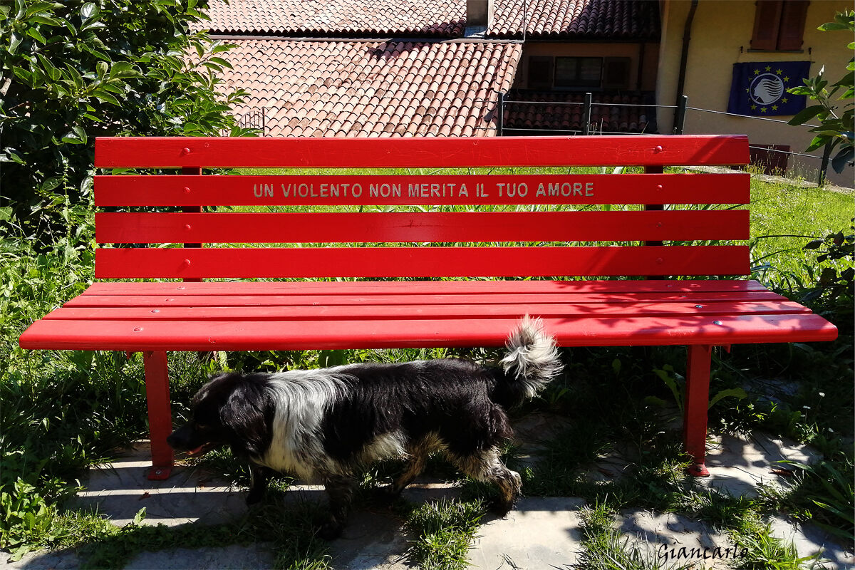 un violento non merita il tuo amore