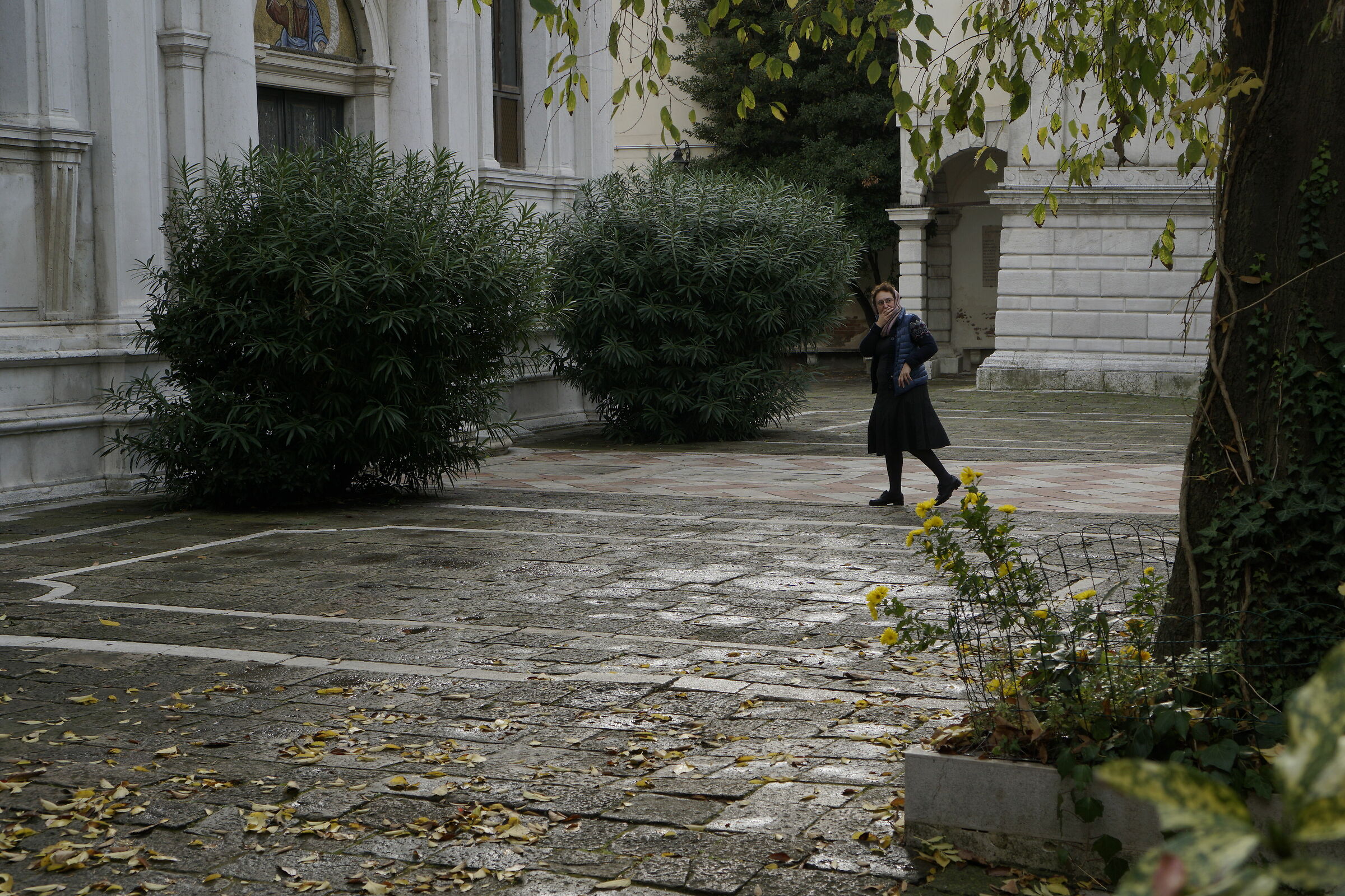 Donna impaurita - Venezia 2017