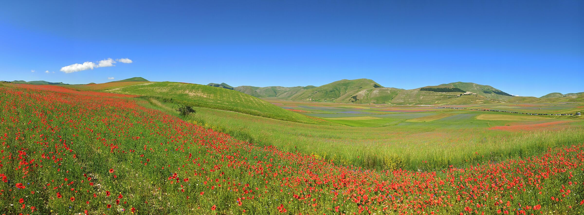 Castelluccio di Norcia 2020