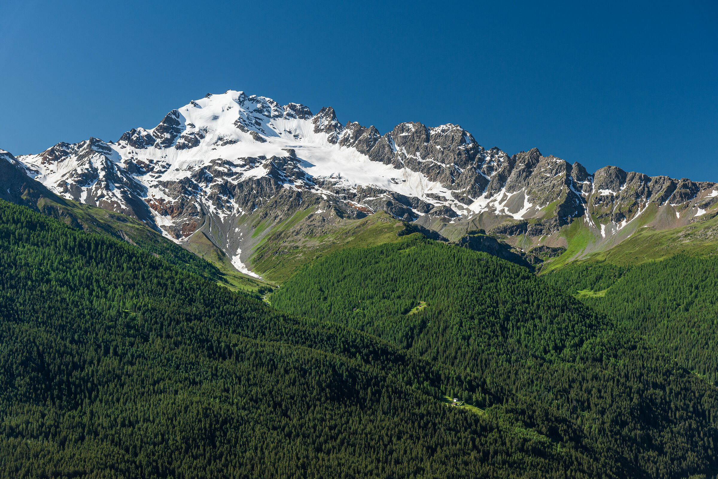 Ghiacciaio della Cima Piazzi