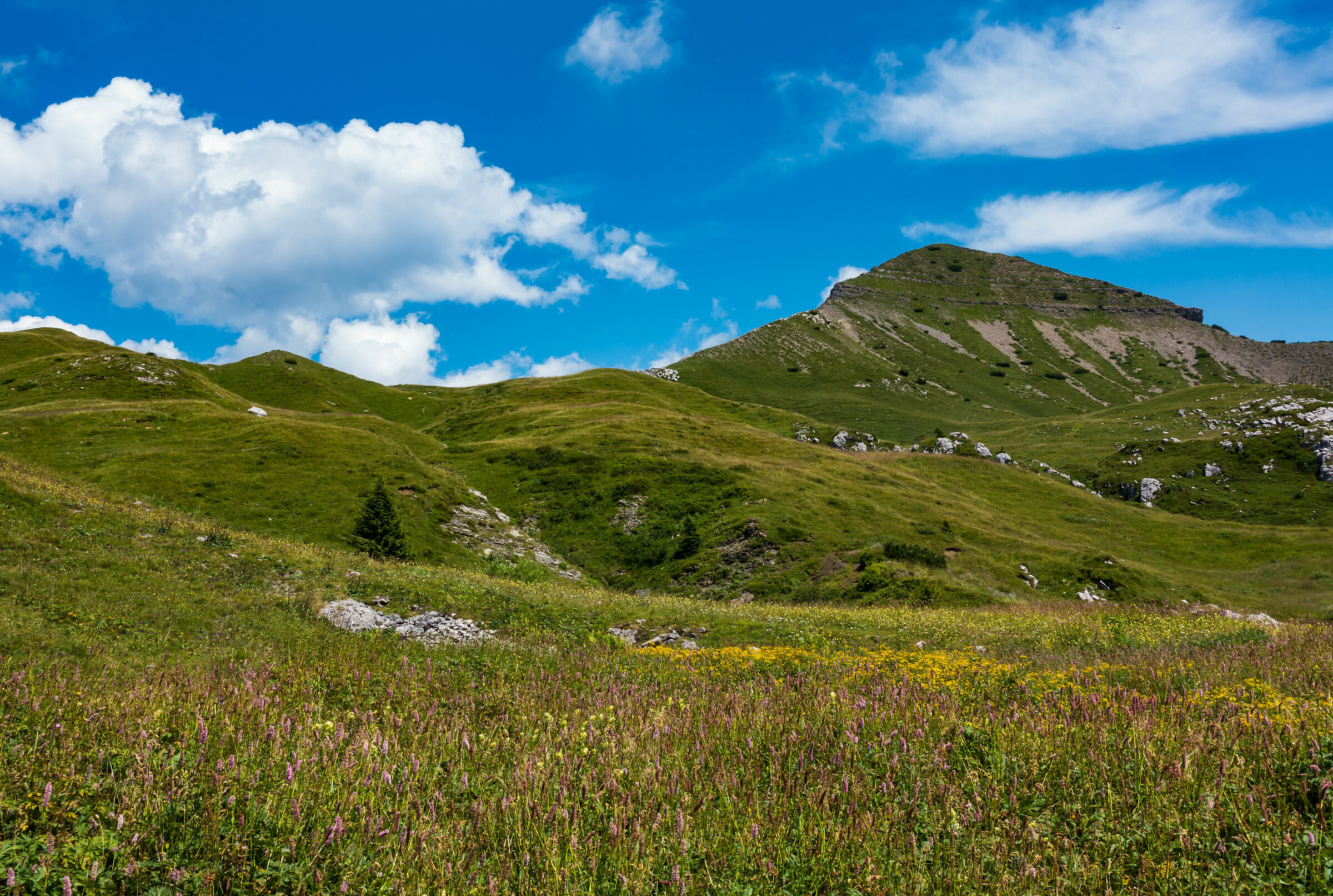 la piramide del Sodadura