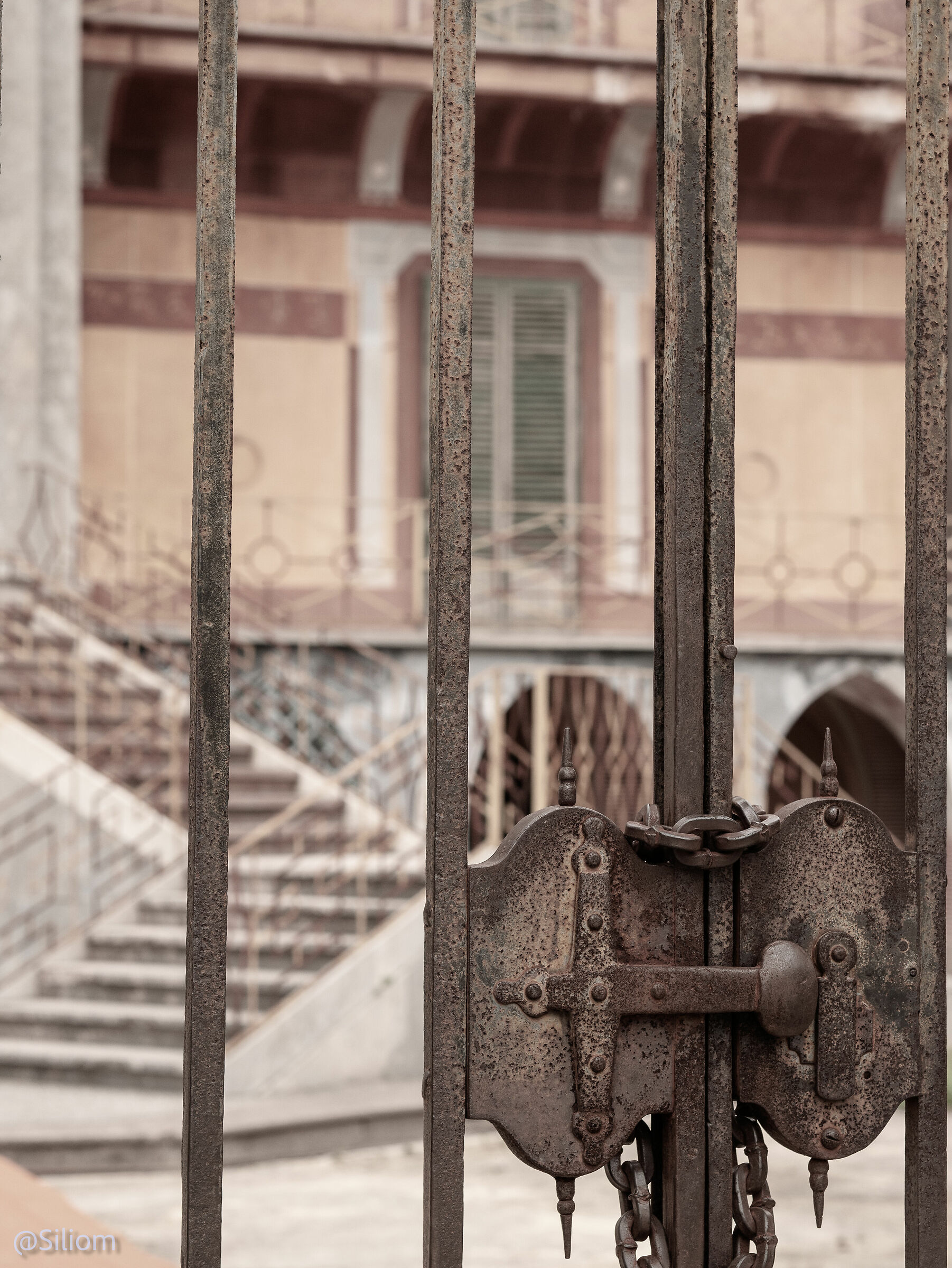 Palazzina Cinese (pa) - Dettaglio Cancello