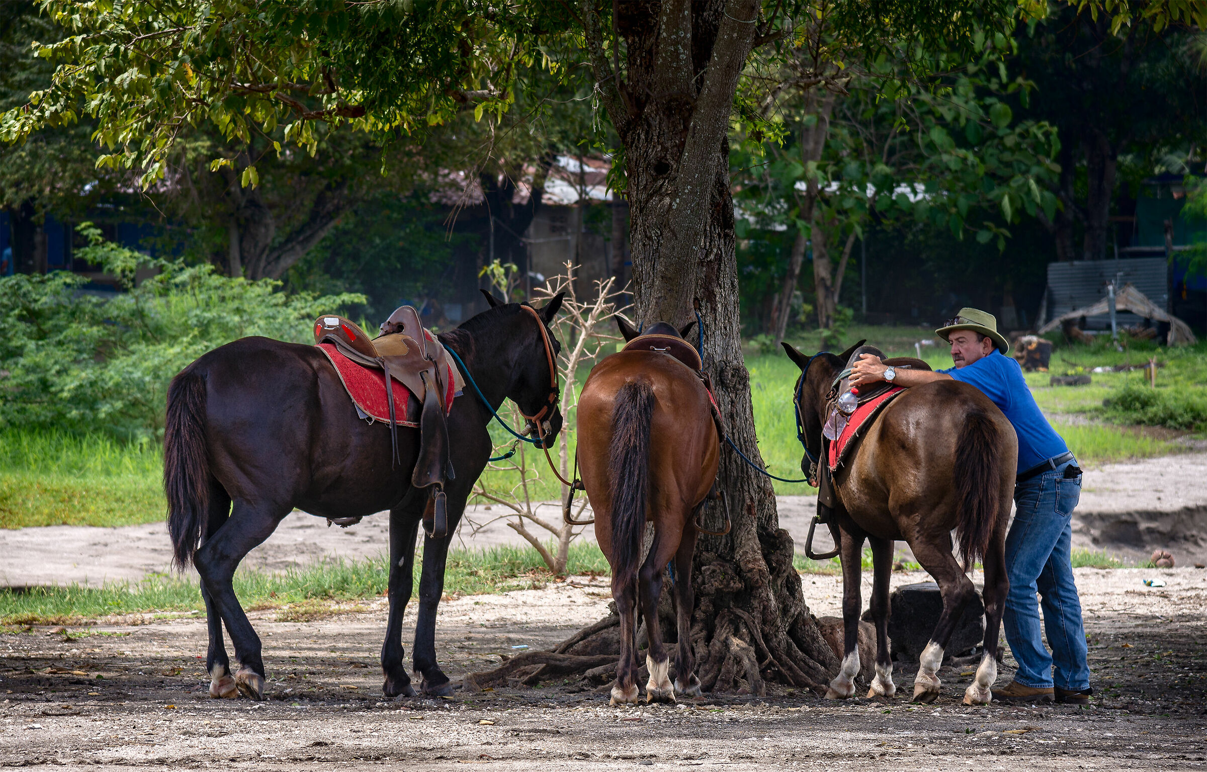 Aspettando i cavalieri.....