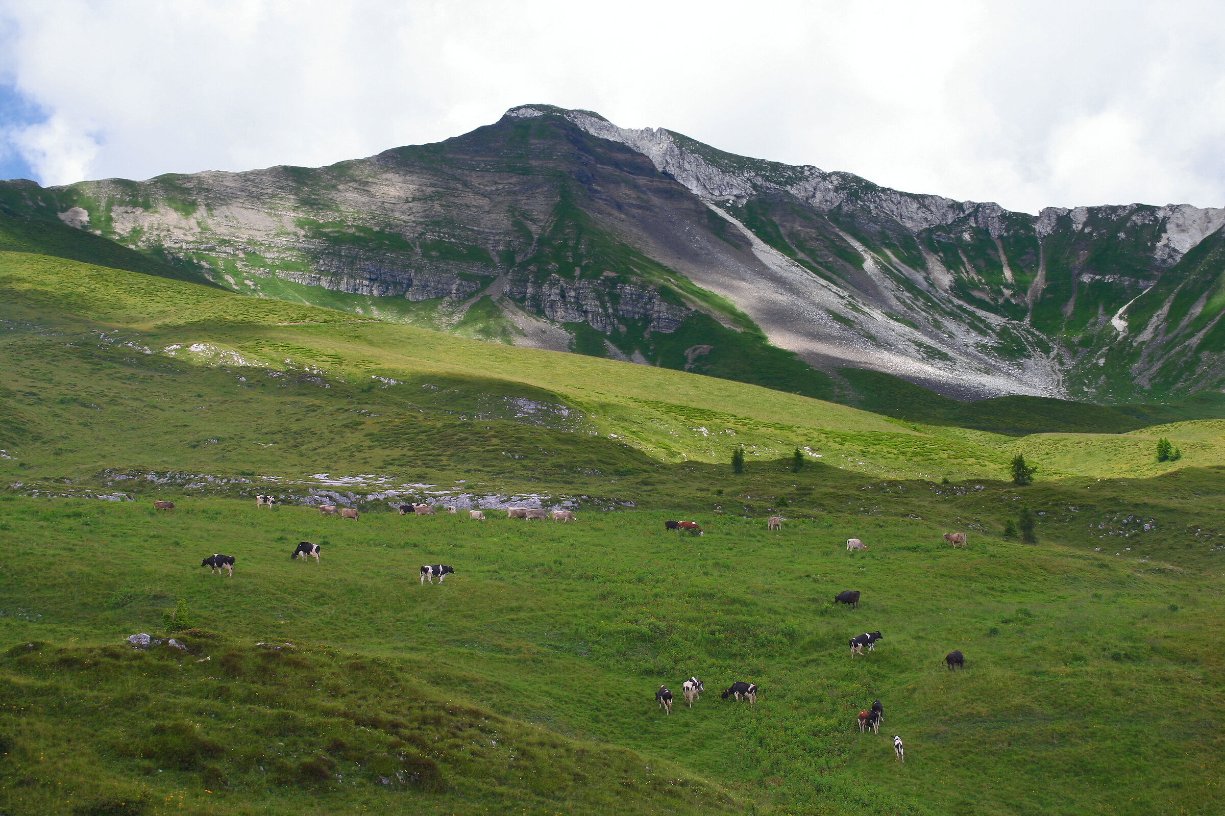 Stabol Fresc_Val of Bondone_Roncone mt. 2030