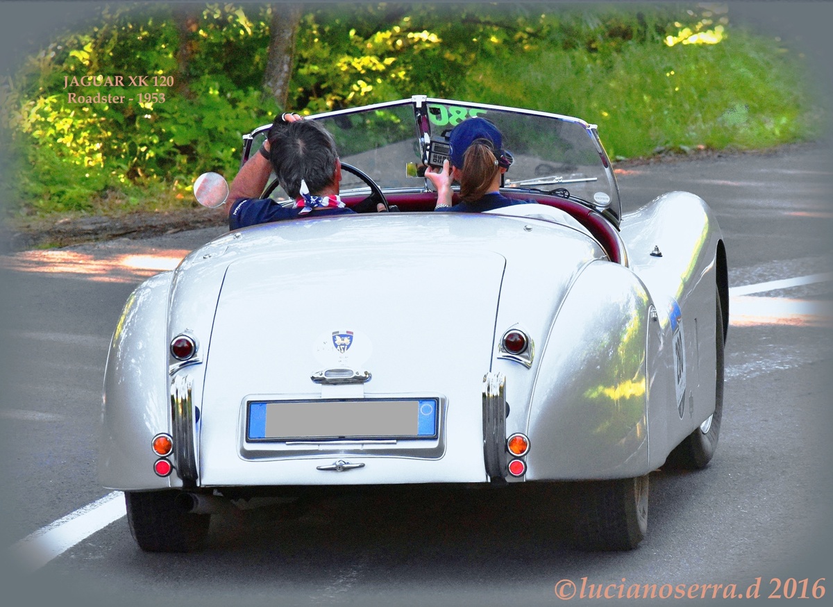 Jaguar XK 120 Roadster - 1953