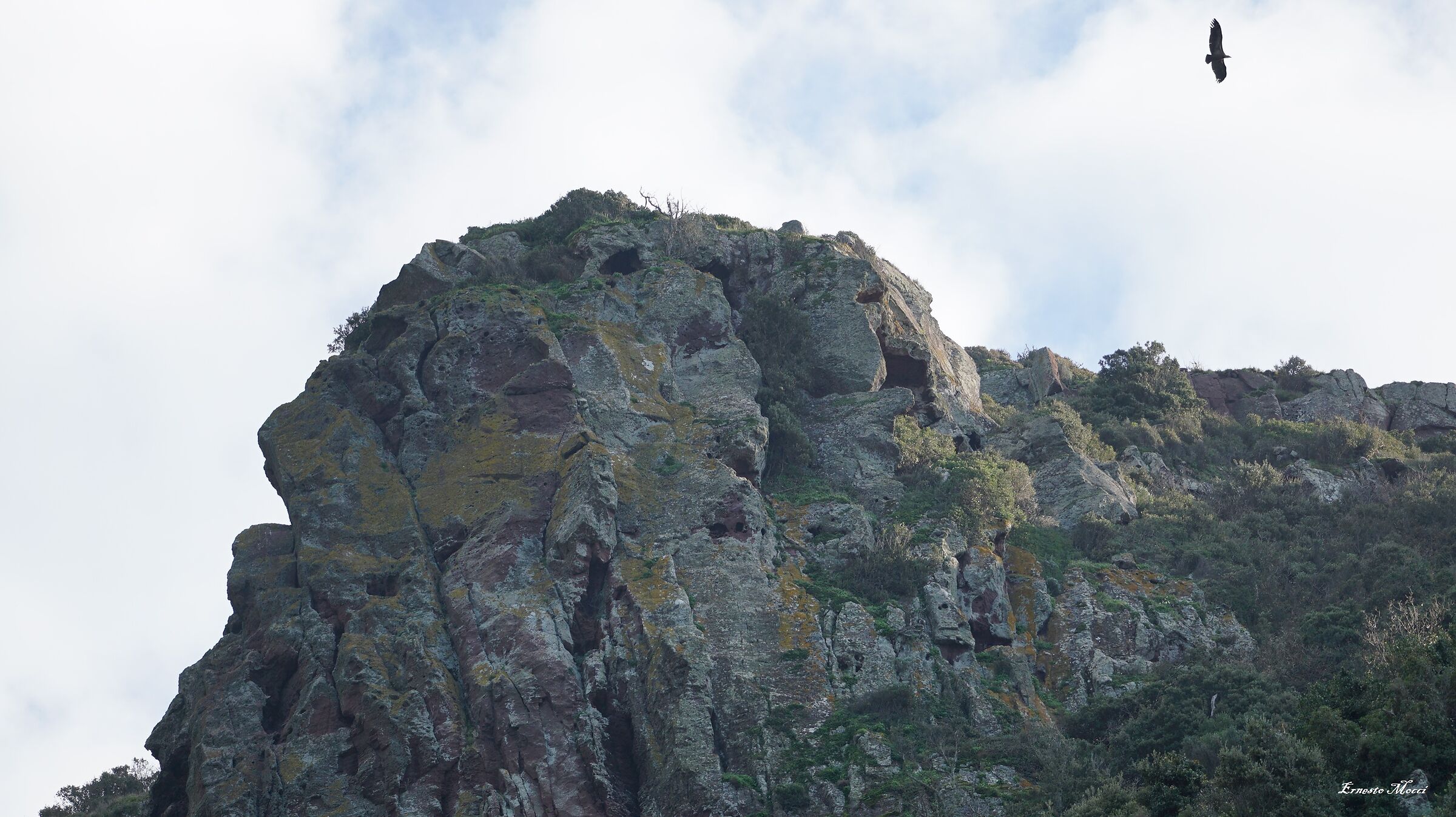 Rebirth every Day ........