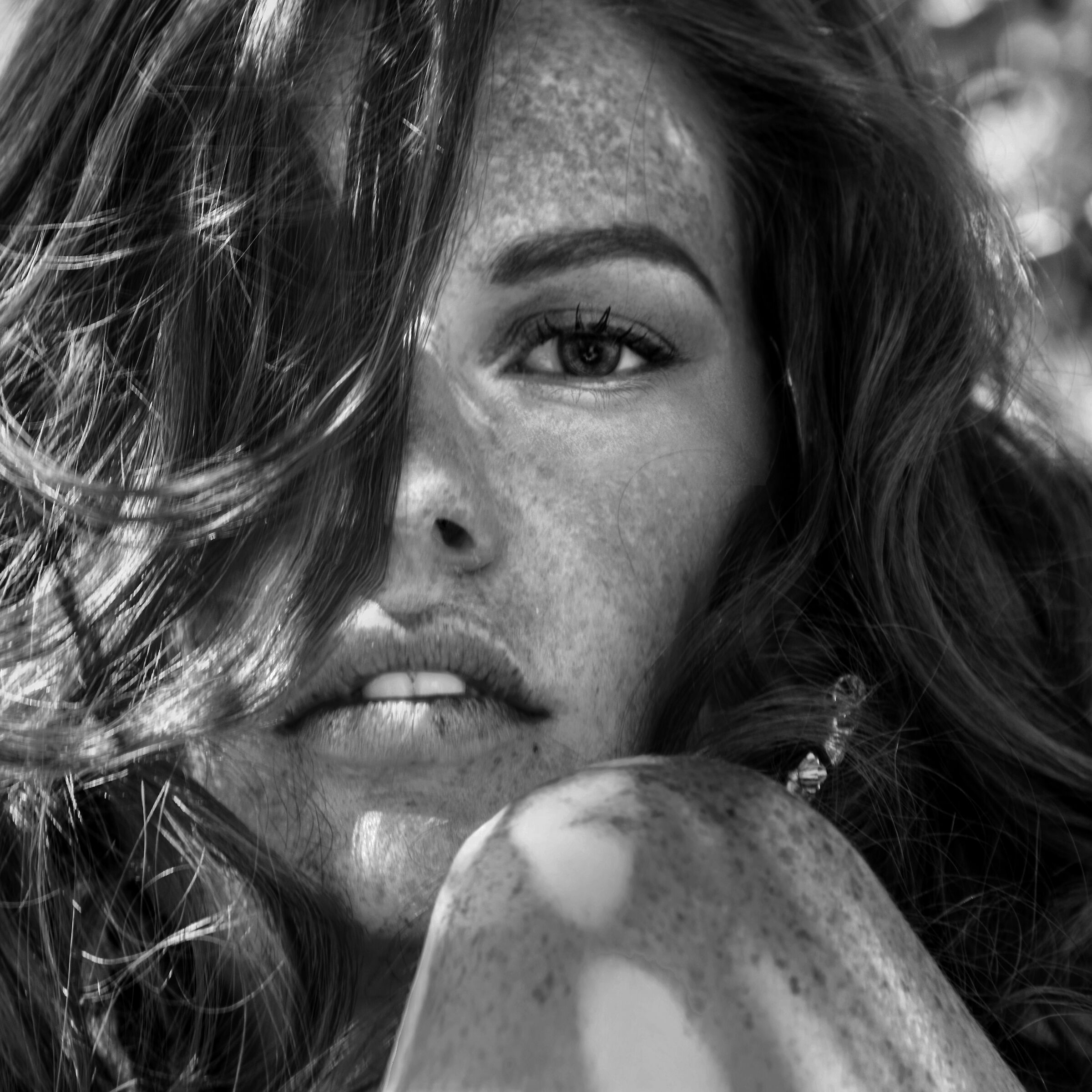 Elegance is not bought