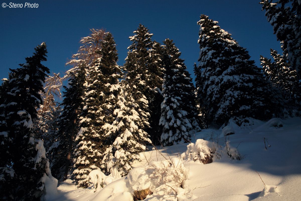 This time is serious