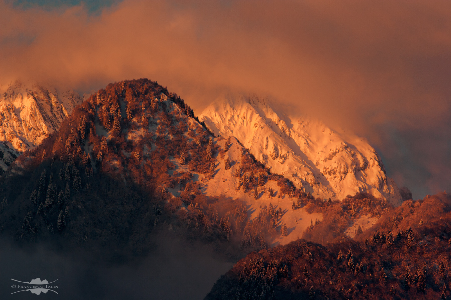 The light ... A poem!