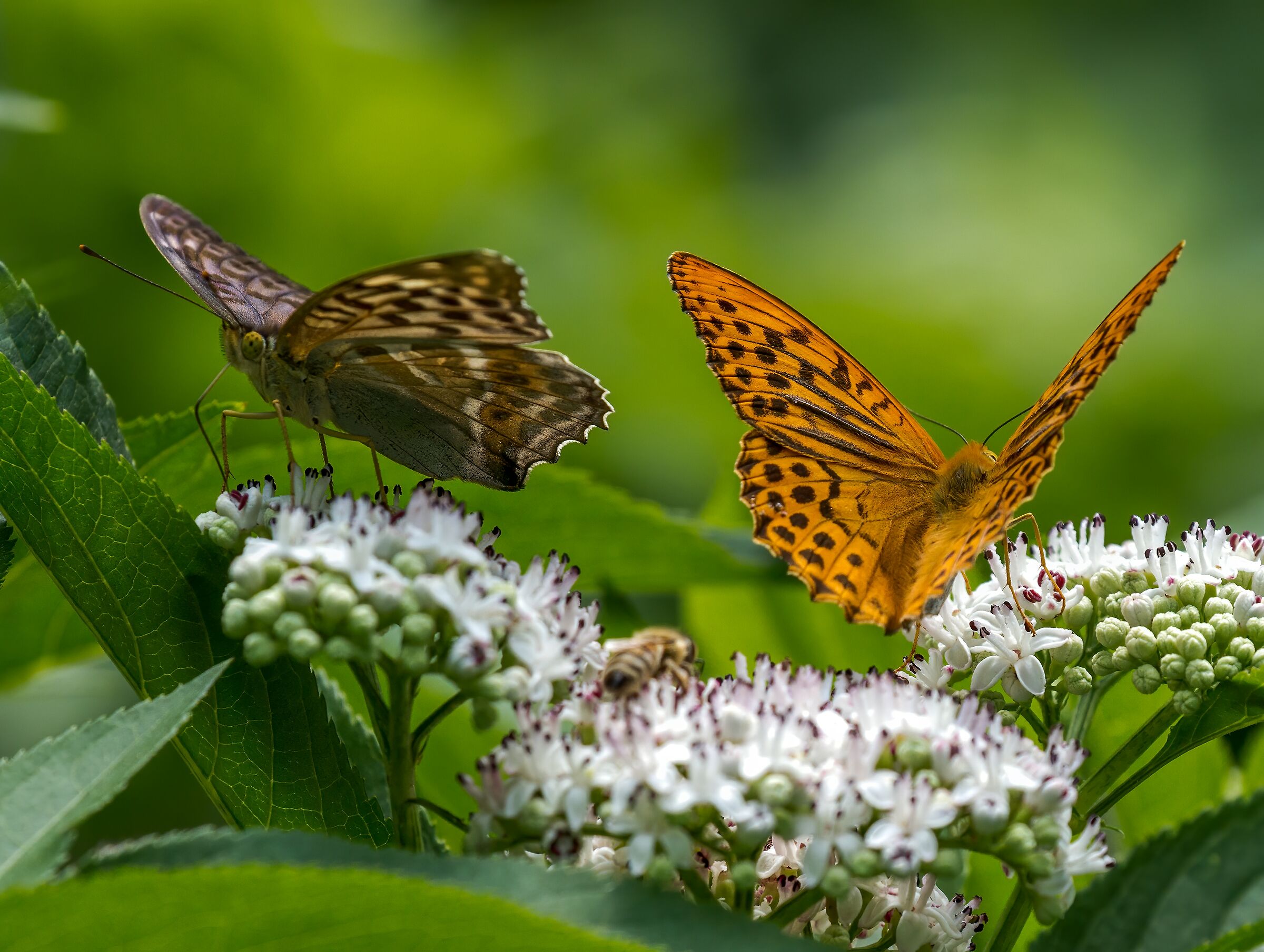 Non abbiamo niente da dirci