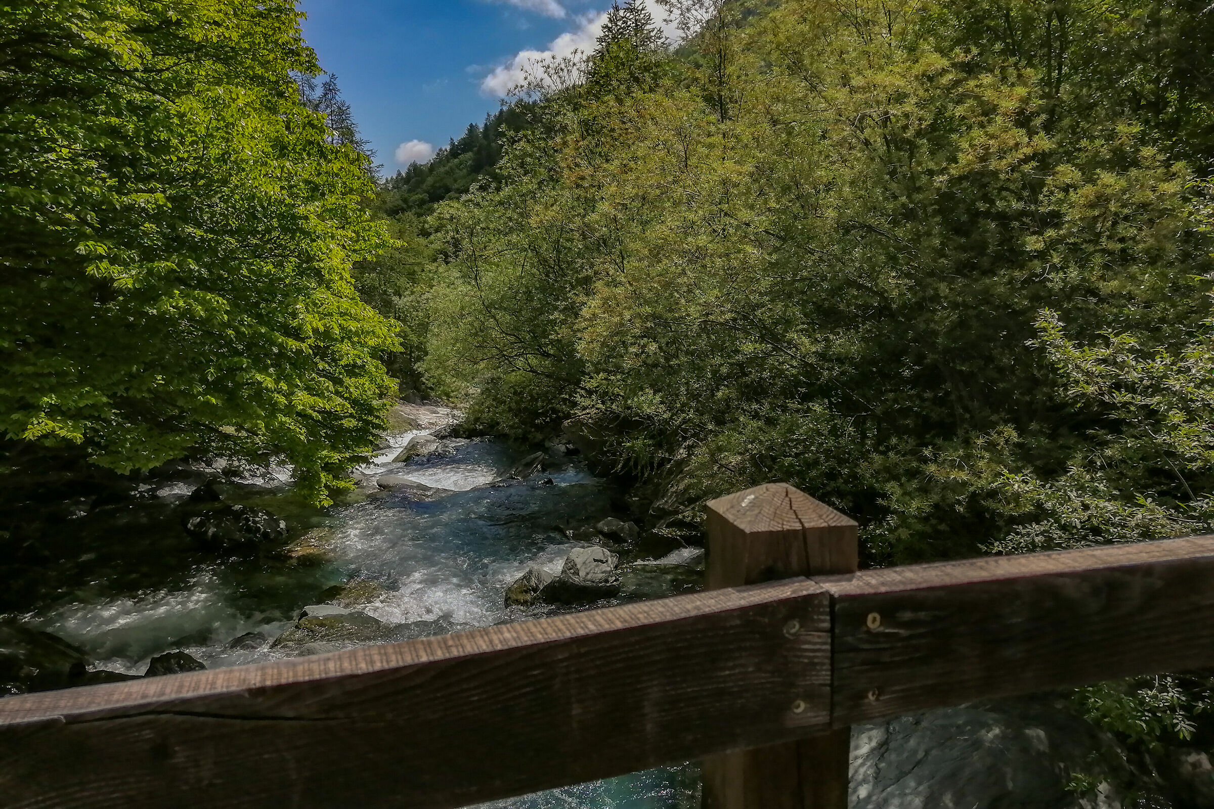 Ruscello di montagna