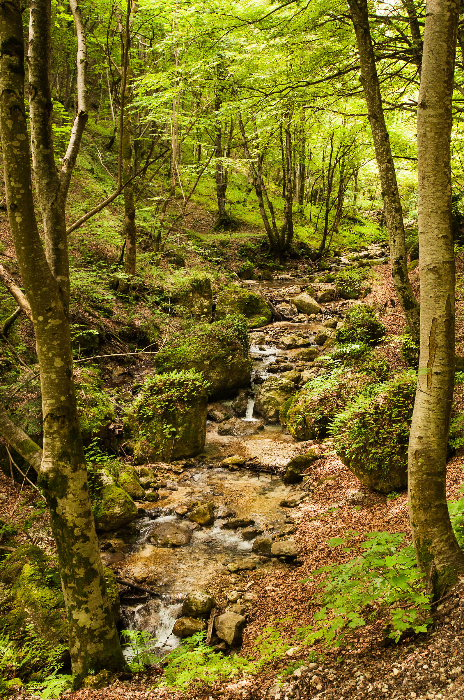 Gola dell'Infernaccio