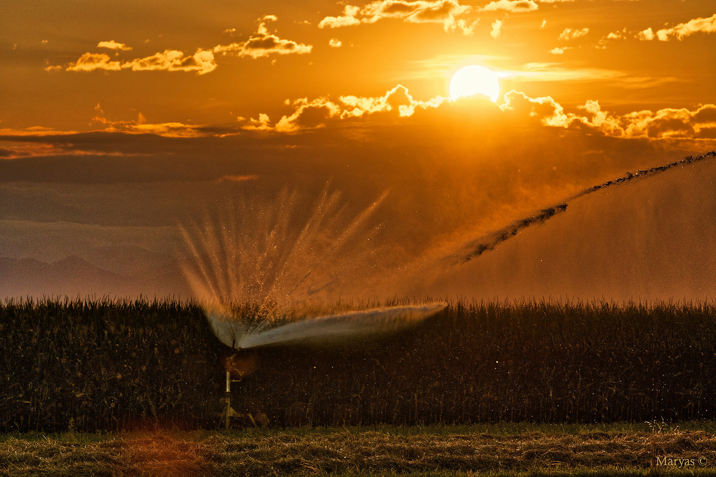 Spruzzi sul tramonto