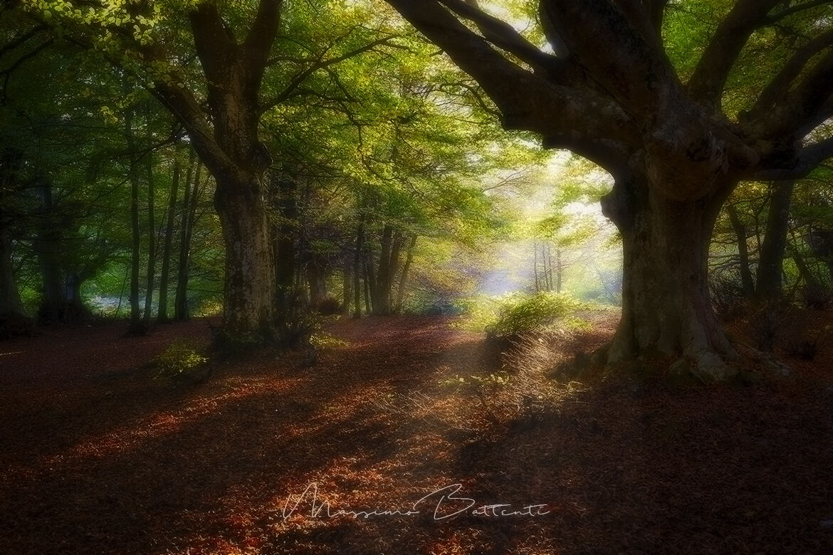 fantasy photo manipulation Canfaito MC