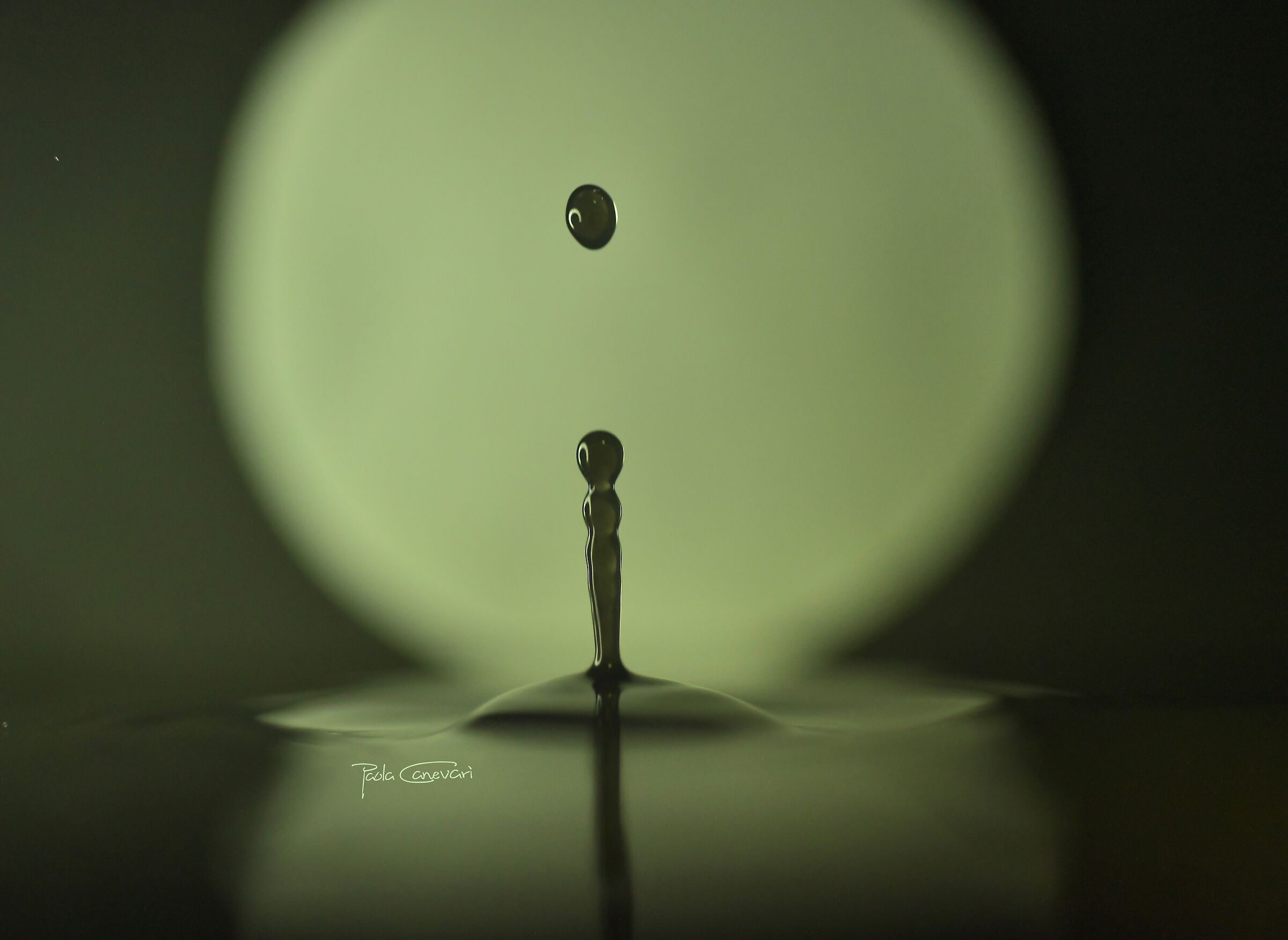 Untitled Photo
