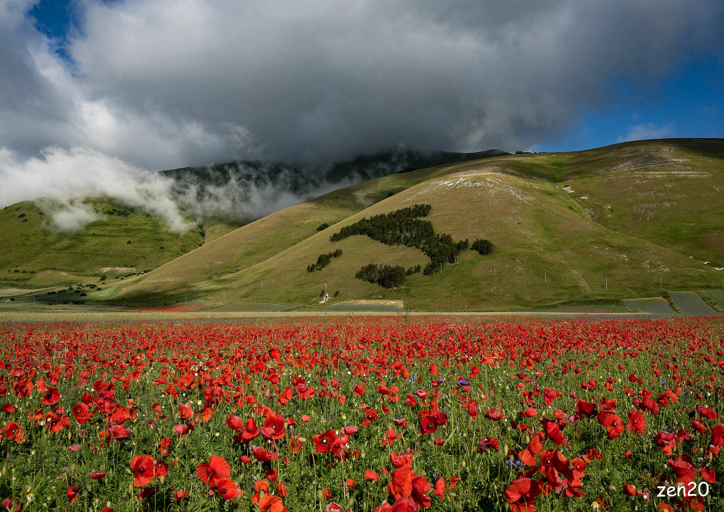 Castelluccio 2020