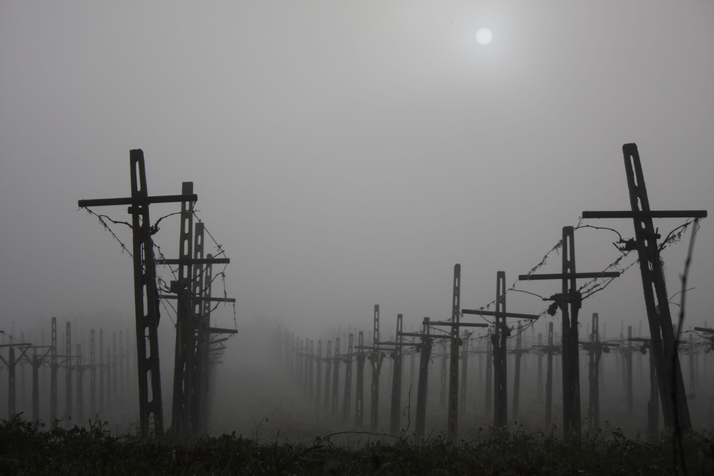 Passeggiata vicino casa