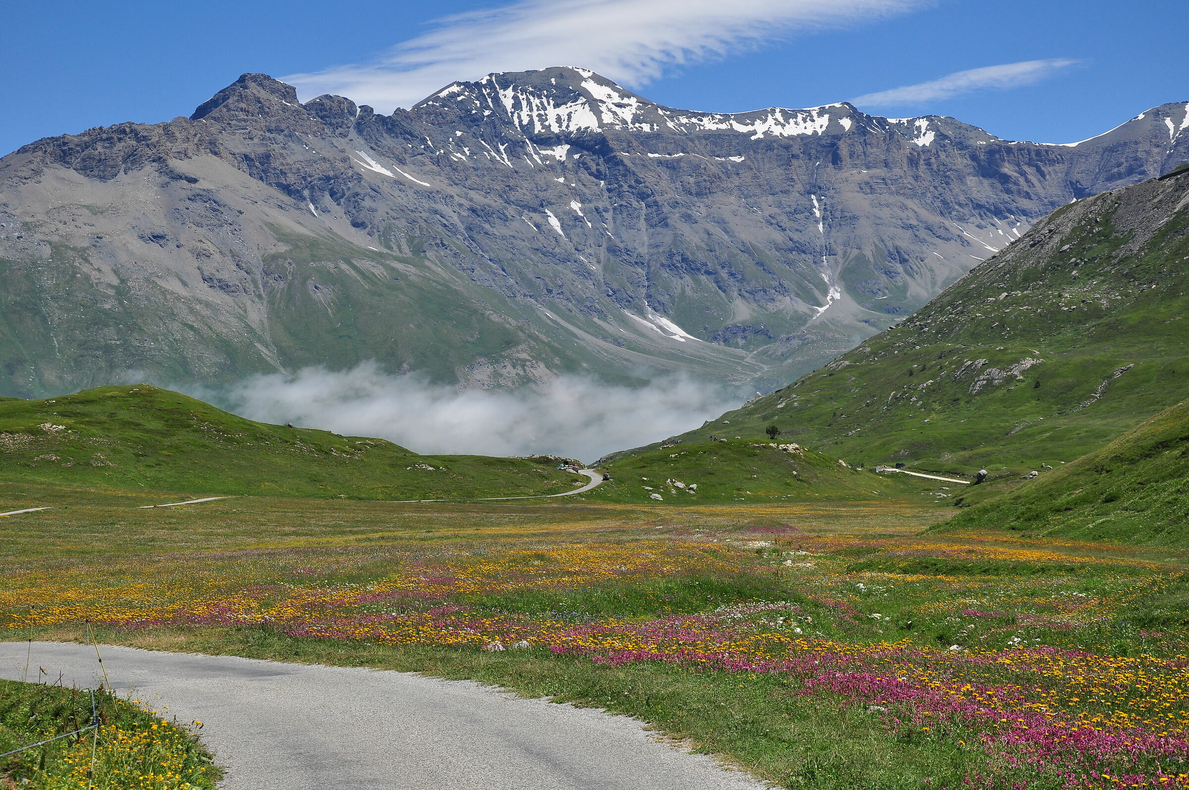 a landscape that satisfies