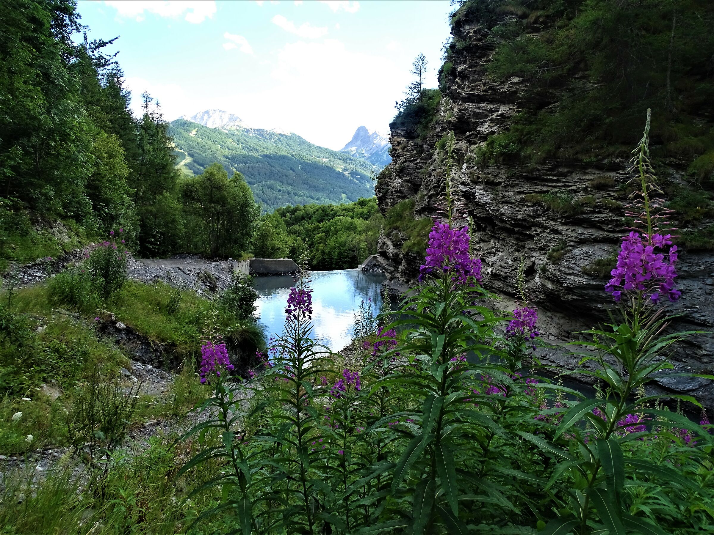 panorama of Bardonecchia...