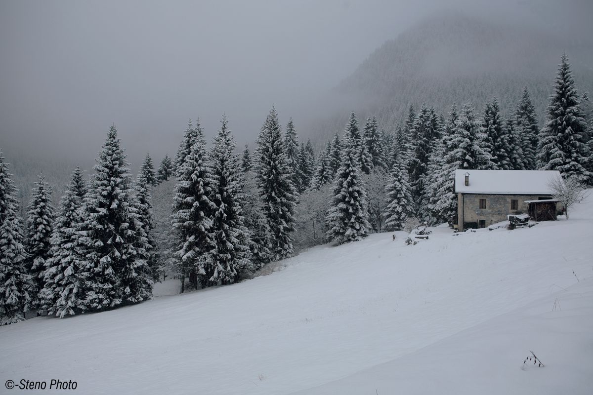 Afternoon in Val Malene