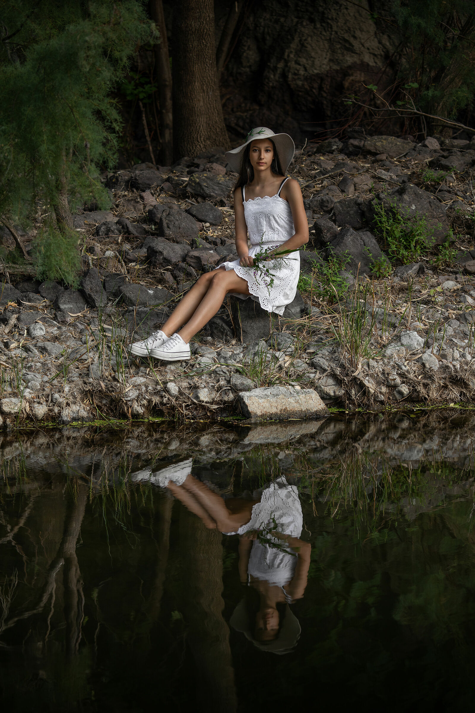 Sul limitar del bosco al calar della sera