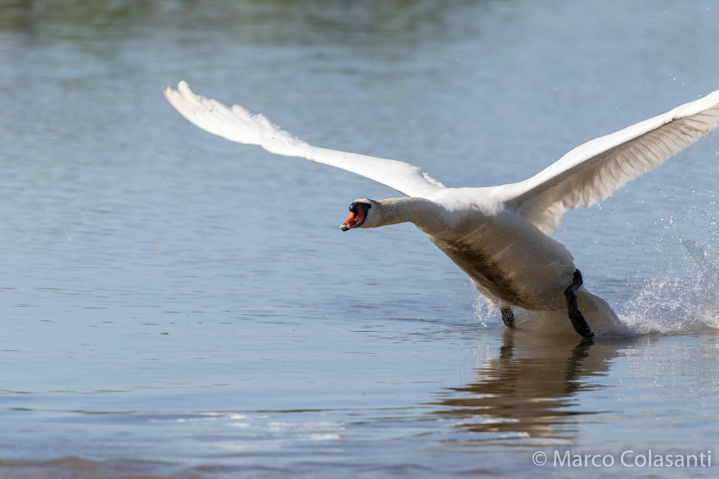 come on I can do it!!!!