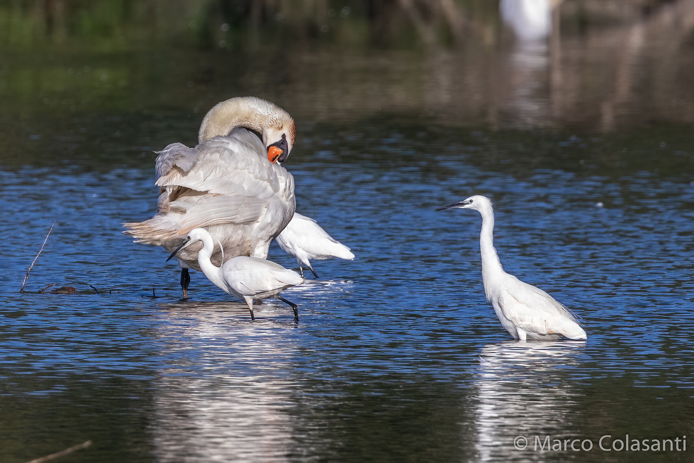 sorry but now I'm busy