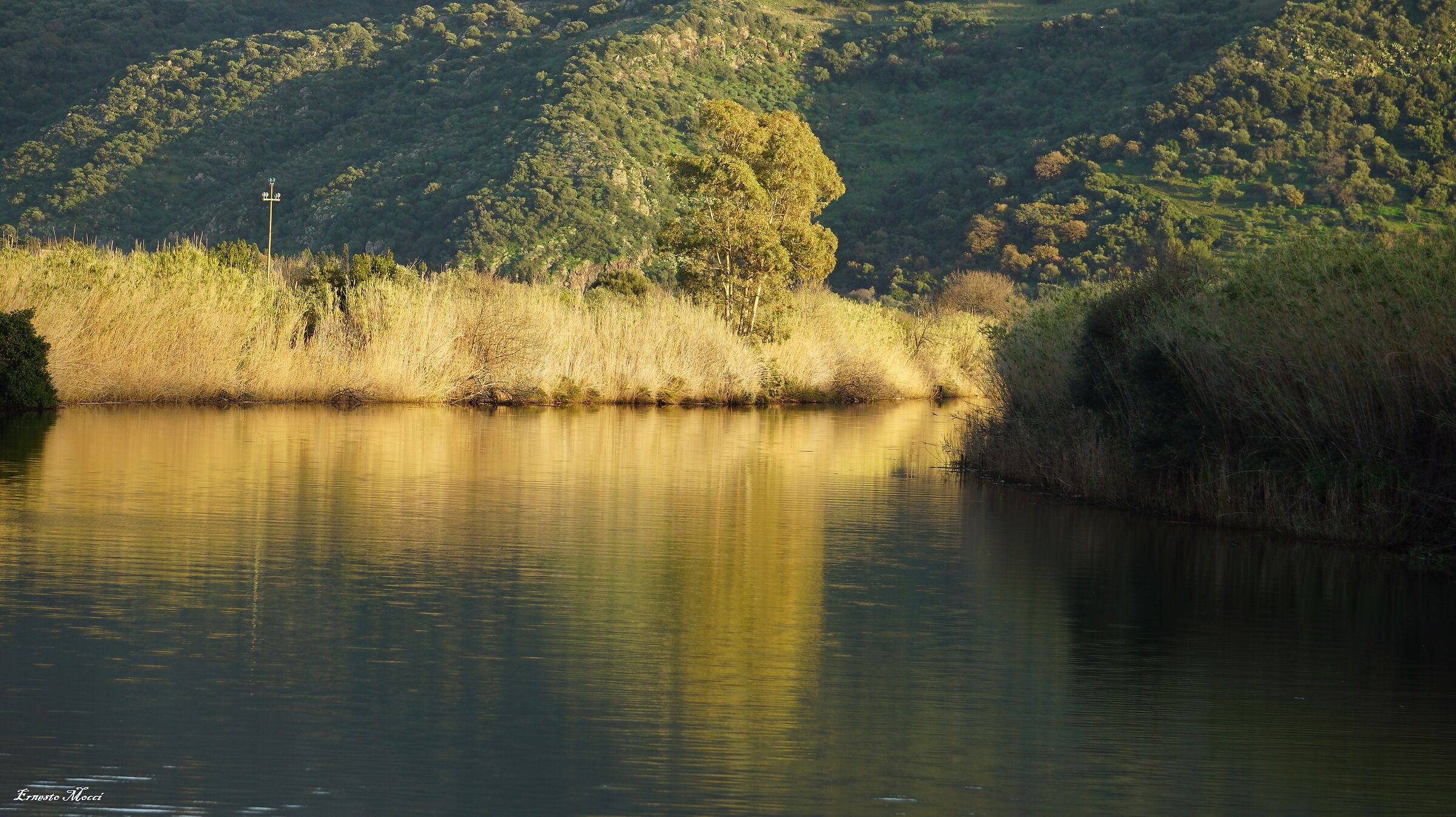 I Love the River.......