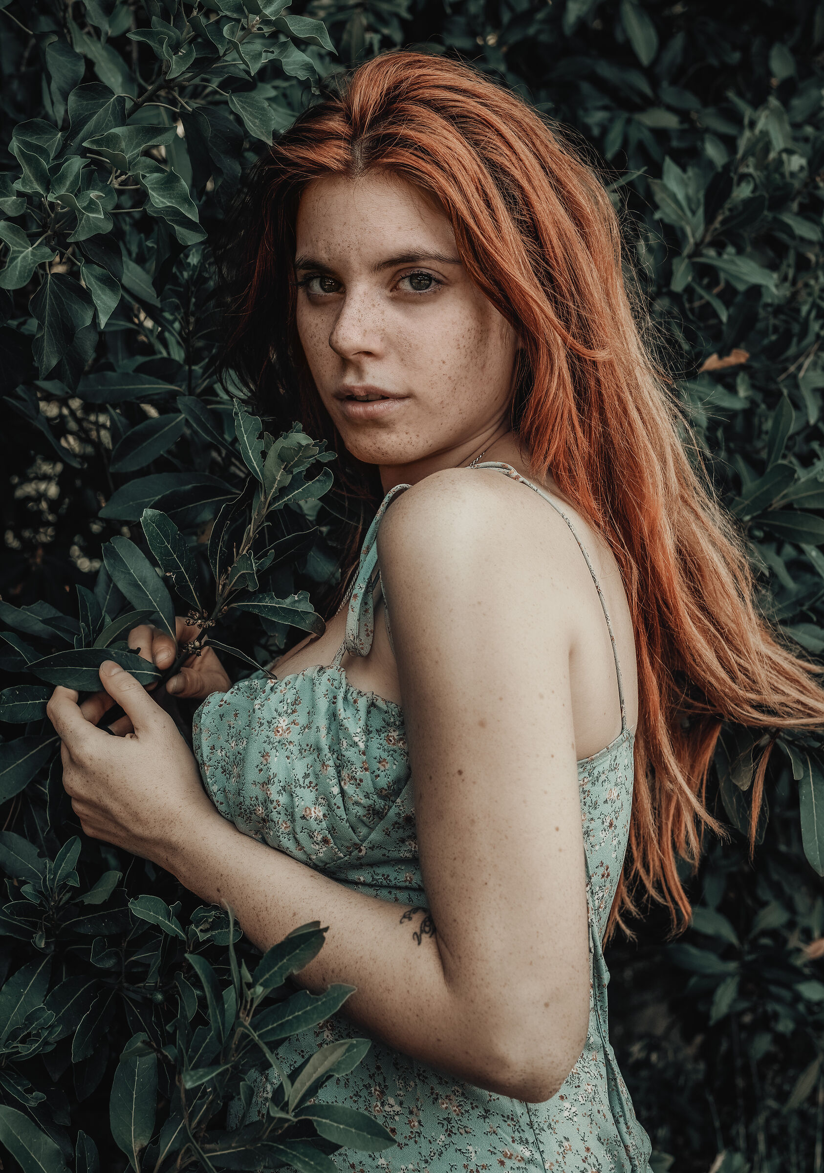 Lucilla