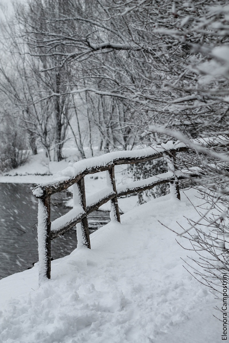 whistles the wind, the storm rages ..