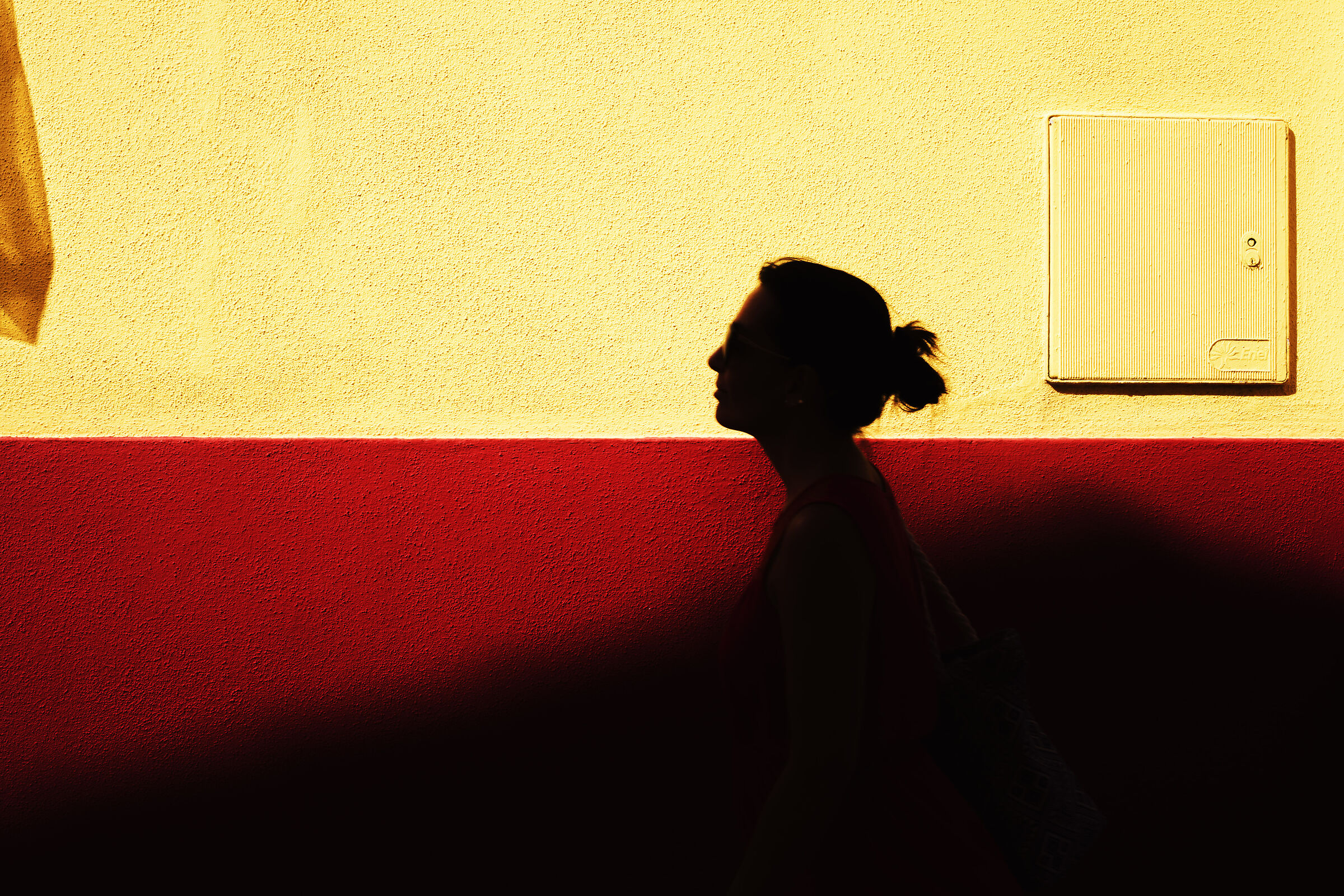 passenger