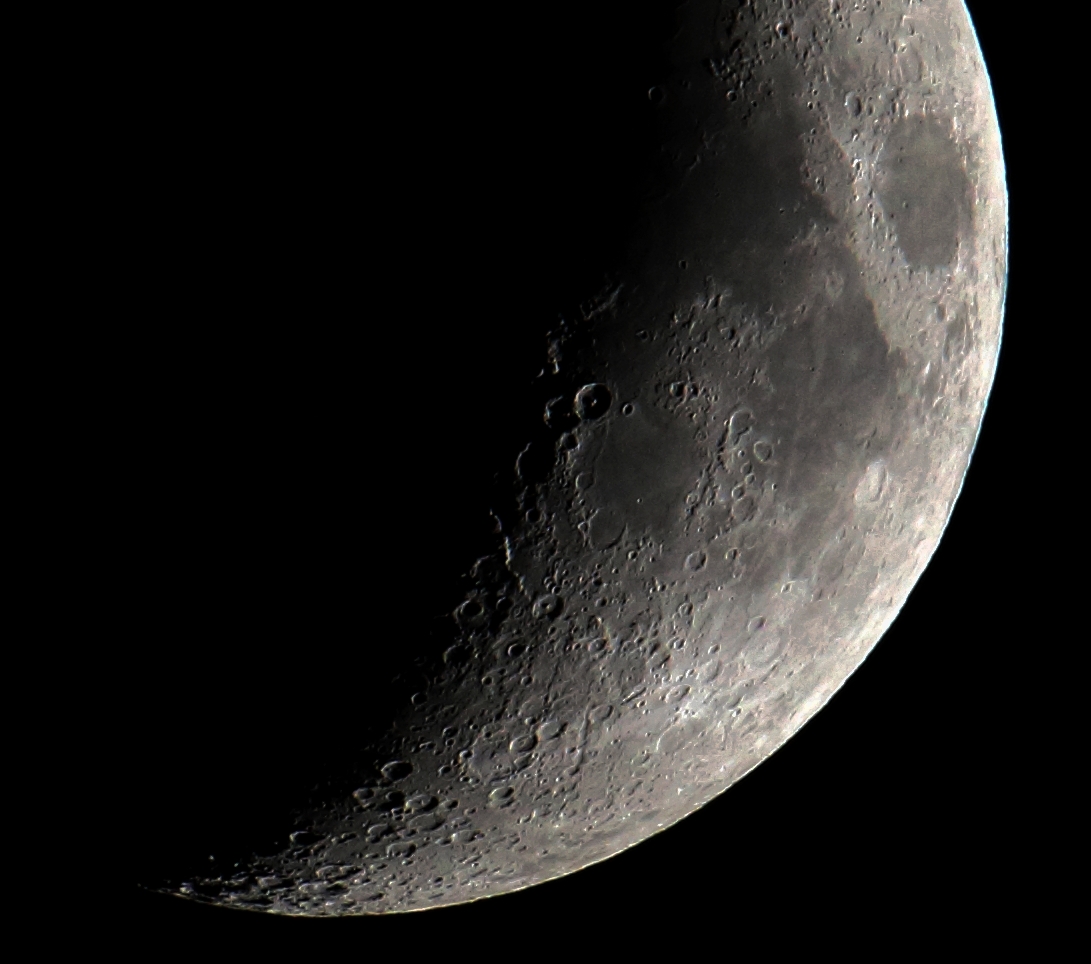 Luna 39% crop