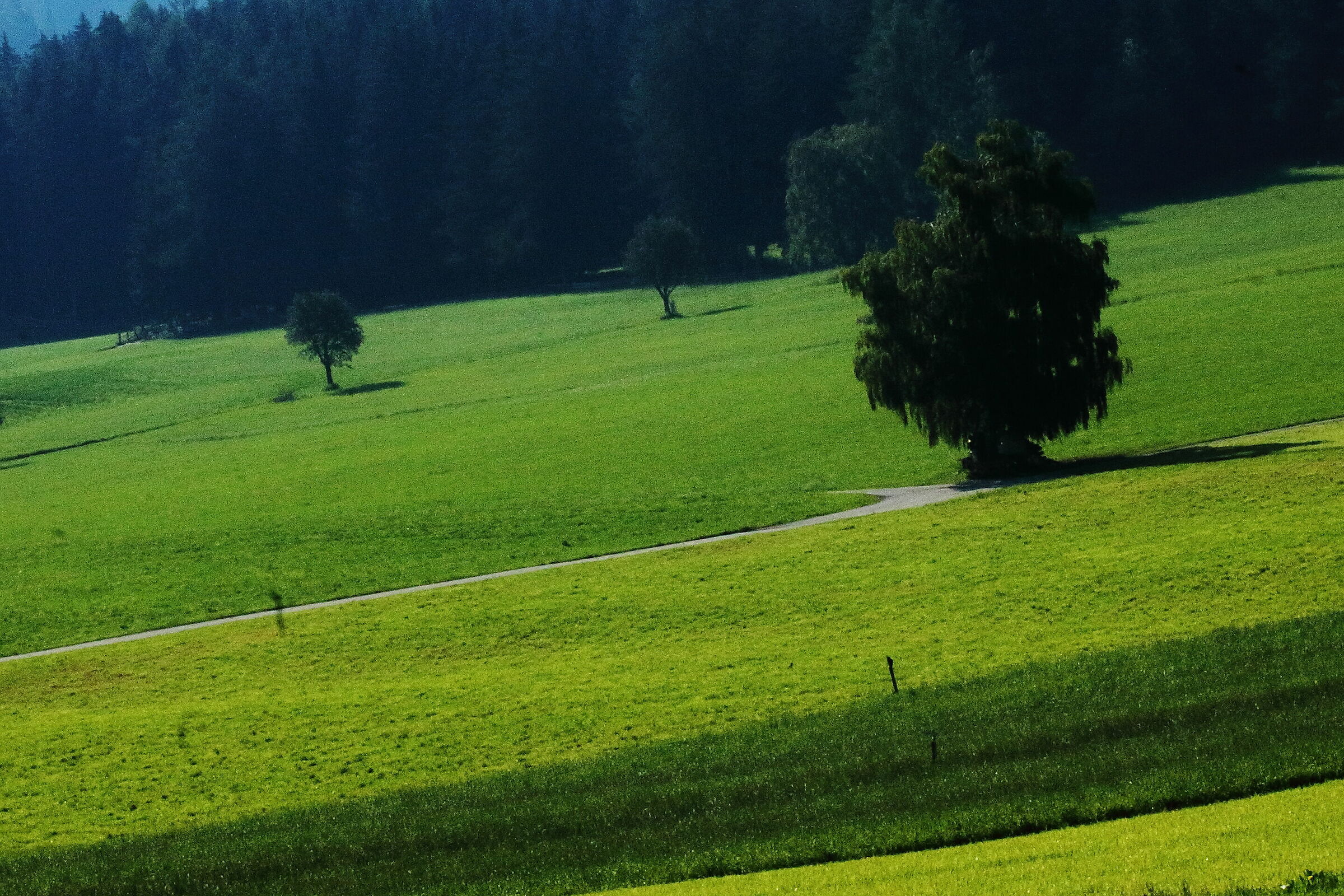 trentino